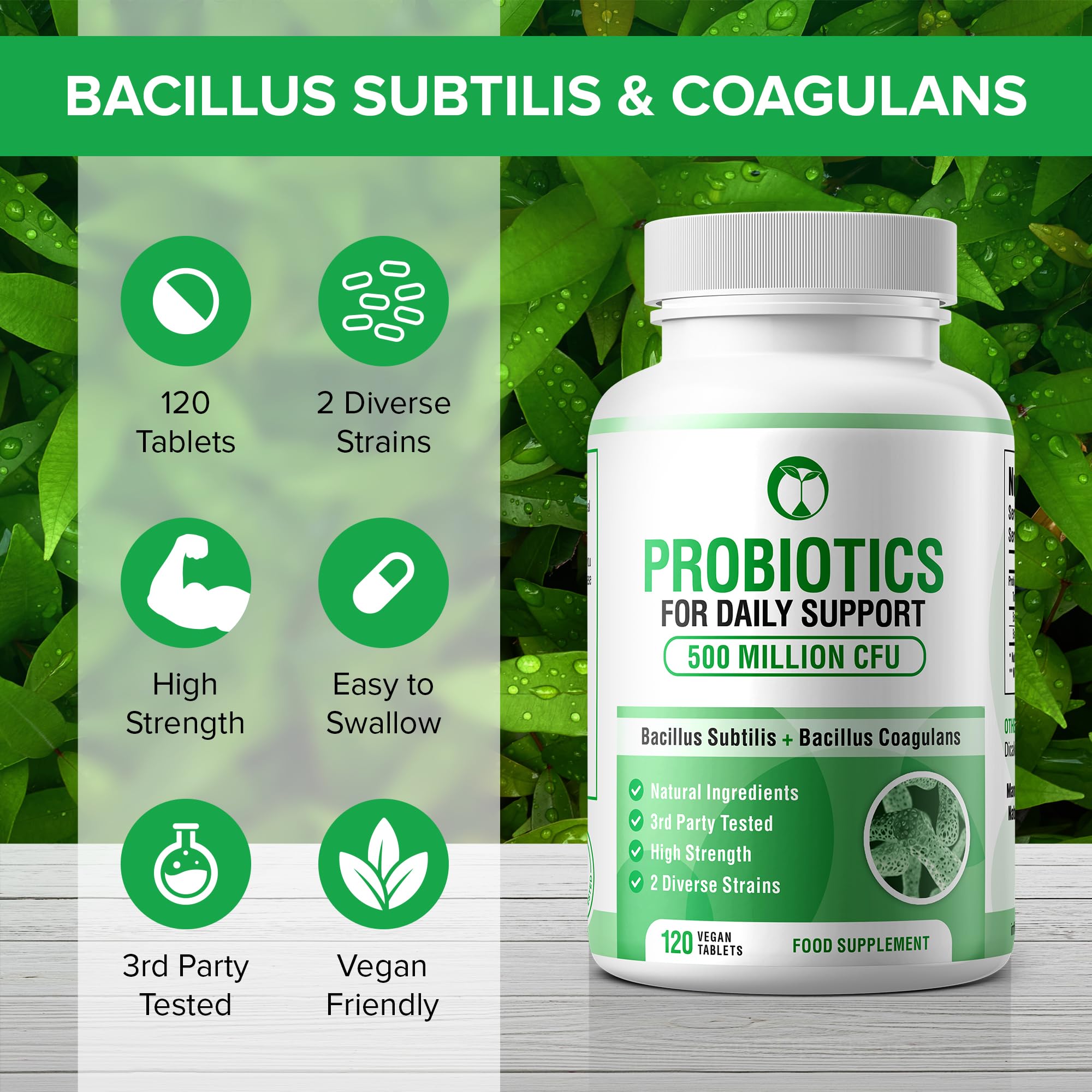 Probiotics for Gut Health Daily Probiotic Complex Supplements for Men & Women 120 Tablets Bacillus Subtilis & Coagulans 500 Million CFU Live Bacteria 3rd Party Tested Made in The UK (120 Tablets)