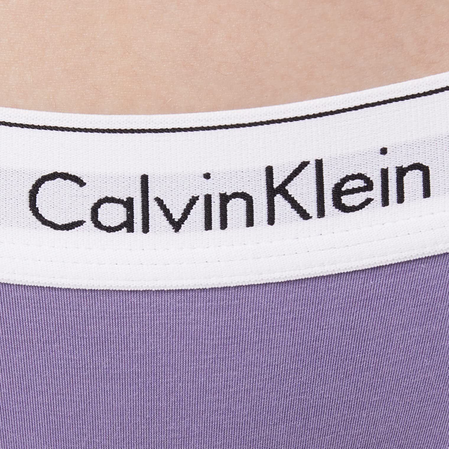 Calvin Klein Women's Bikini 0000F3787E Panties, Purple (Splash of Grape), L