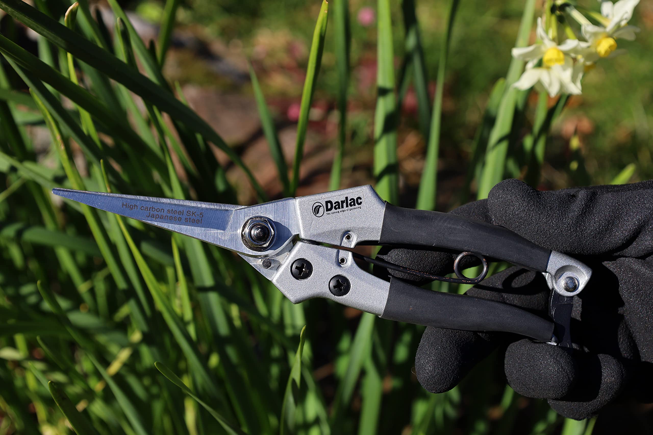 Darlac Compact Snips – Award Winning, Razor Sharp Garden Snips Ideal for Delicate & Light Pruning & Topiary Work – Lightweight – Precision Tensioned – SK5 High Carbon Steel Blade