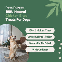 Pets Purest Natural Dog Treat Chews - 100% Healthy Air-Dried Chicken Sausage Bites for Dogs, Puppy & Senior. Grain & Gluten Free Low Fat Raw Protein Dog Food Snack (100g)