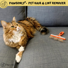 PawsOnlyUK Pet Hair Remover for Carpet Sofa Car Furniture Stairs Pet Bed Rugs   Carpet Scraper Tool   Reusable Lint Remover   Portable Carpet Brush   Easy to Clean Cat Dog Hair Fur (Orange)