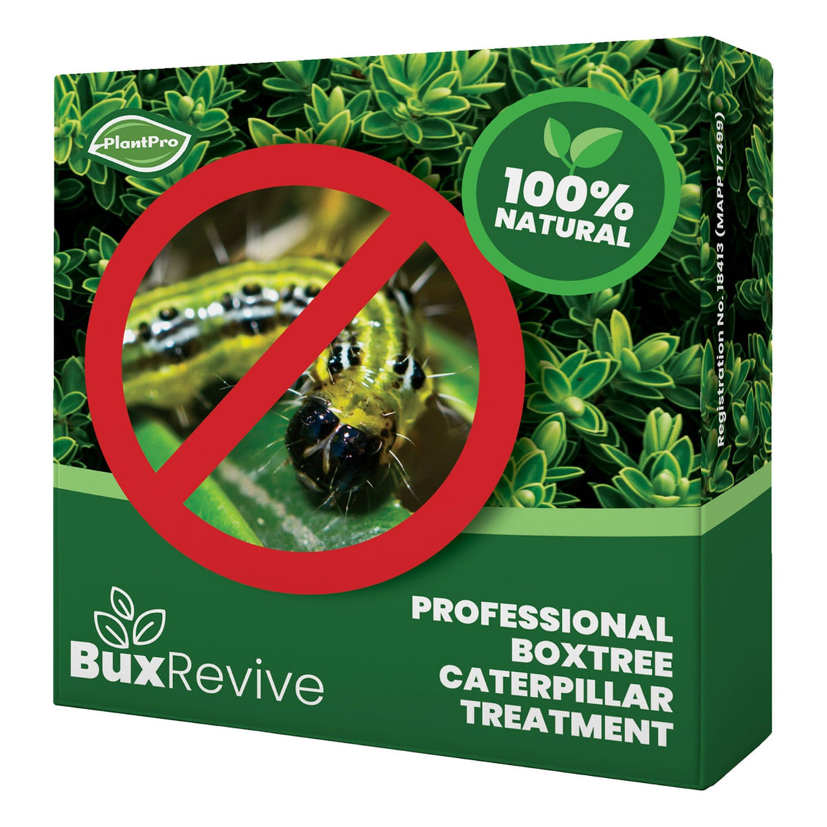 PlantPro Box Tree BuxRevive Treatment - Professional Caterpillar Spray For Plants - SAFE For Bees And Birds