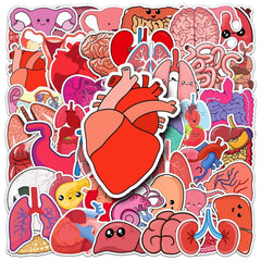 50 Pcs Human Body Organs Stickers Funny Human Biology Sticker for Water Bottle Laptop Skateboard Computer Luggage Scrapbook Car Helmet Bike,Vinyl Waterproof Sticker for Adults Doctors Nurses