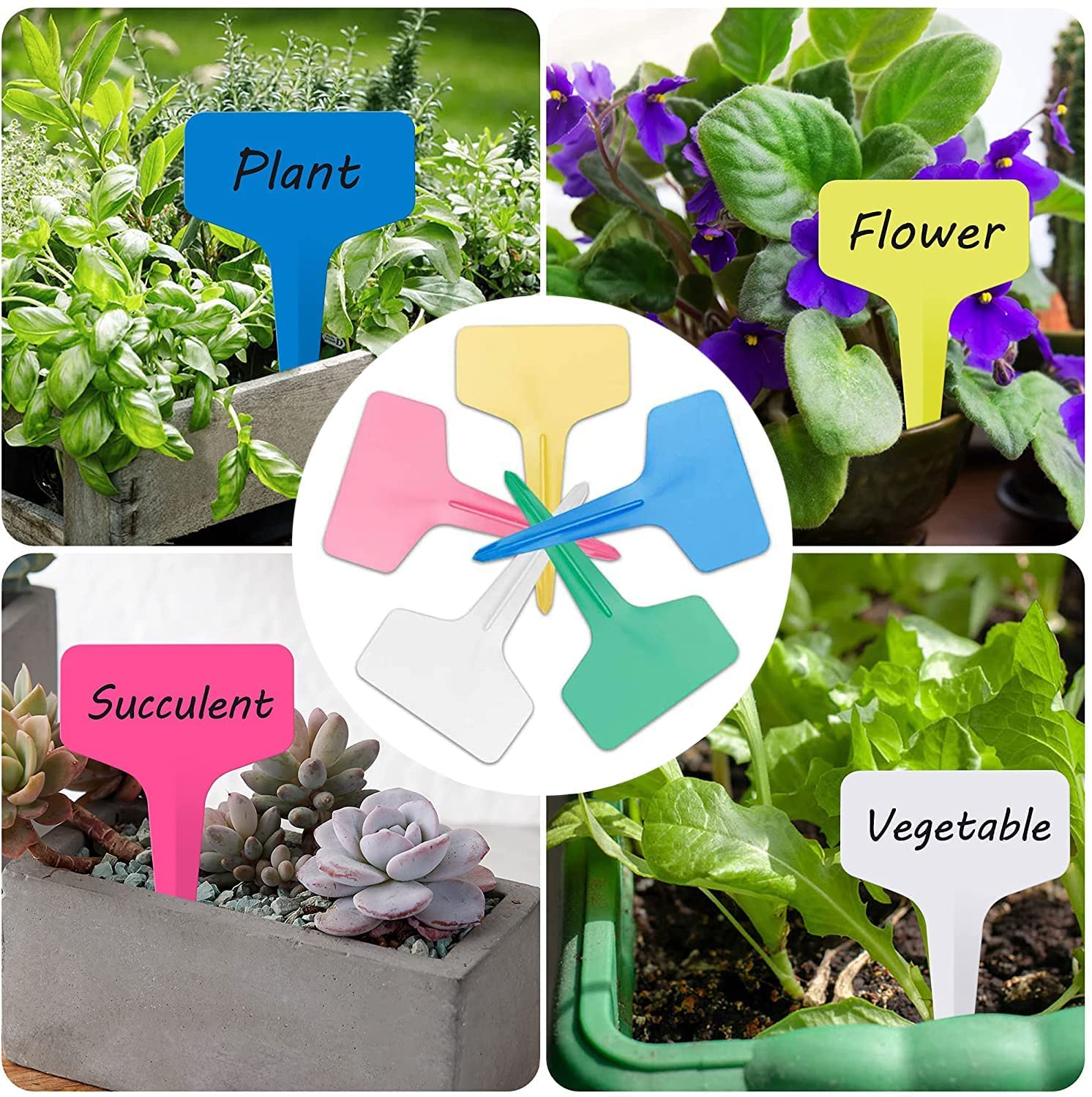 Plastic Plant Labels, 100Pcs T-Type Reusable Plant Labels Garden Markers, Waterproof Plant Tags, Seed Label, Plant Labels for Outdoor Plants Garden Seed Potted Flower (Multicolor)