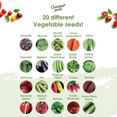 Grow Your Own Vegetable Seeds - 20 Packet Variety by Garden Pack – High Yield Seeds for Growing Veggies at Home – 8,000 Heirloom Seeds Gardner Set