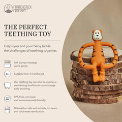 Matchstick Monkey, Antimicrobial Silicone Teether & Gel Applicator, Easy to Grip, BPA Free, 3 Months Oldand, 11 cm, Teddy Tiger