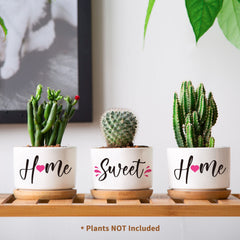 House Warming Gifts for New Home, Best New Home Gifts for Couple Friends Women, Home Sweet Home Succulent Pots Cute House Warming Presents New Home Owner Gift Ideas for Christmas, Anniversary