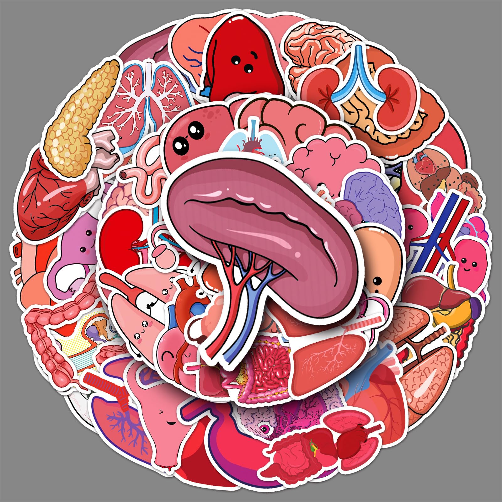 50 Pcs Human Body Organs Stickers Funny Human Biology Sticker for Water Bottle Laptop Skateboard Computer Luggage Scrapbook Car Helmet Bike,Vinyl Waterproof Sticker for Adults Doctors Nurses