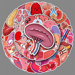 50 Pcs Human Body Organs Stickers Funny Human Biology Sticker for Water Bottle Laptop Skateboard Computer Luggage Scrapbook Car Helmet Bike,Vinyl Waterproof Sticker for Adults Doctors Nurses