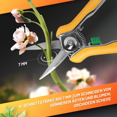 Colibri Pruner Flower Secateurs 170 mm Pruning Shears Garden Plant Scissors with Soft-Touch Handle, Trimmer Shears Bypass, Stainless Steel