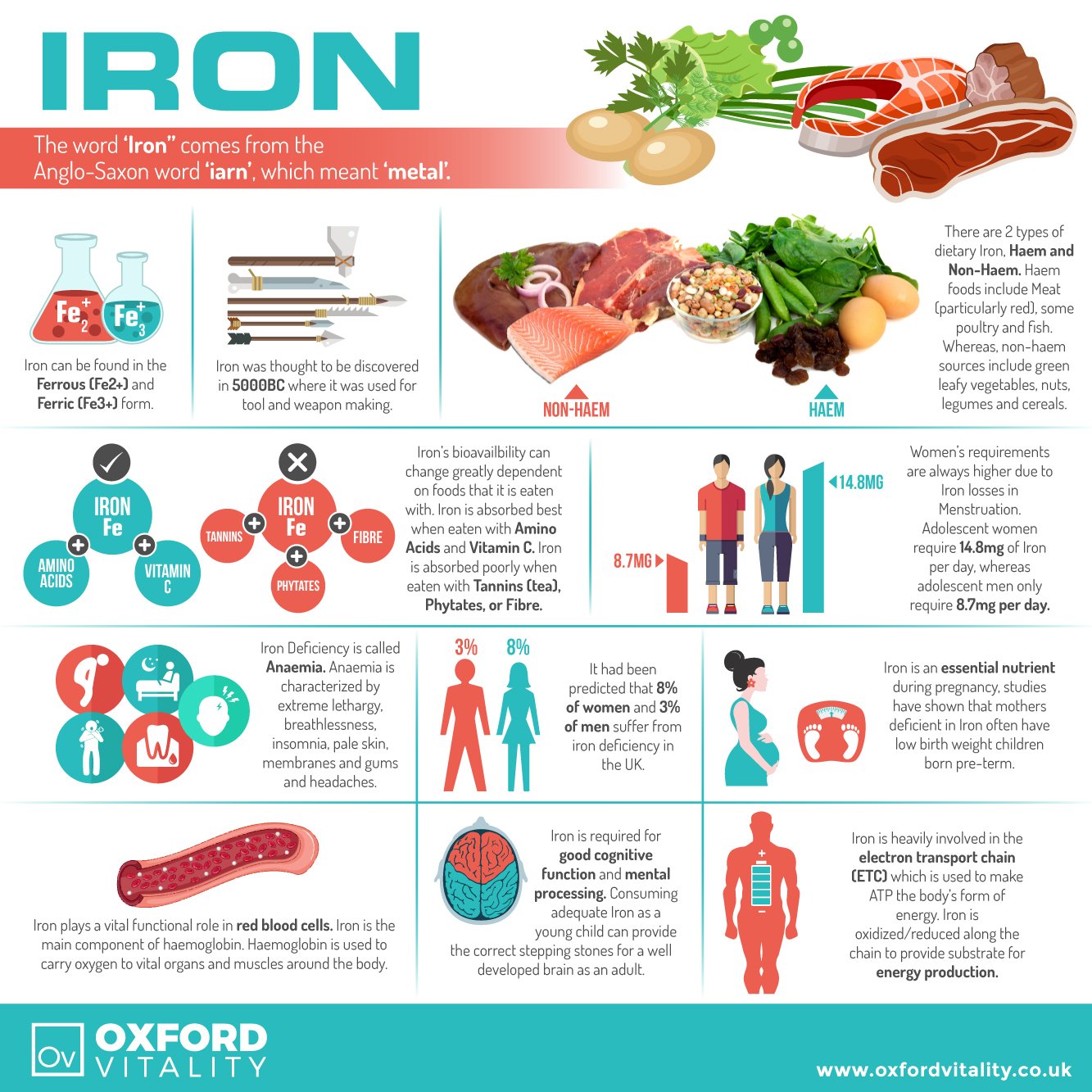 Iron Tablets 34mg   High Strength   Blood Health, Anaemia, General Health & Well Being   Oxford Vitality (120 Tablets)