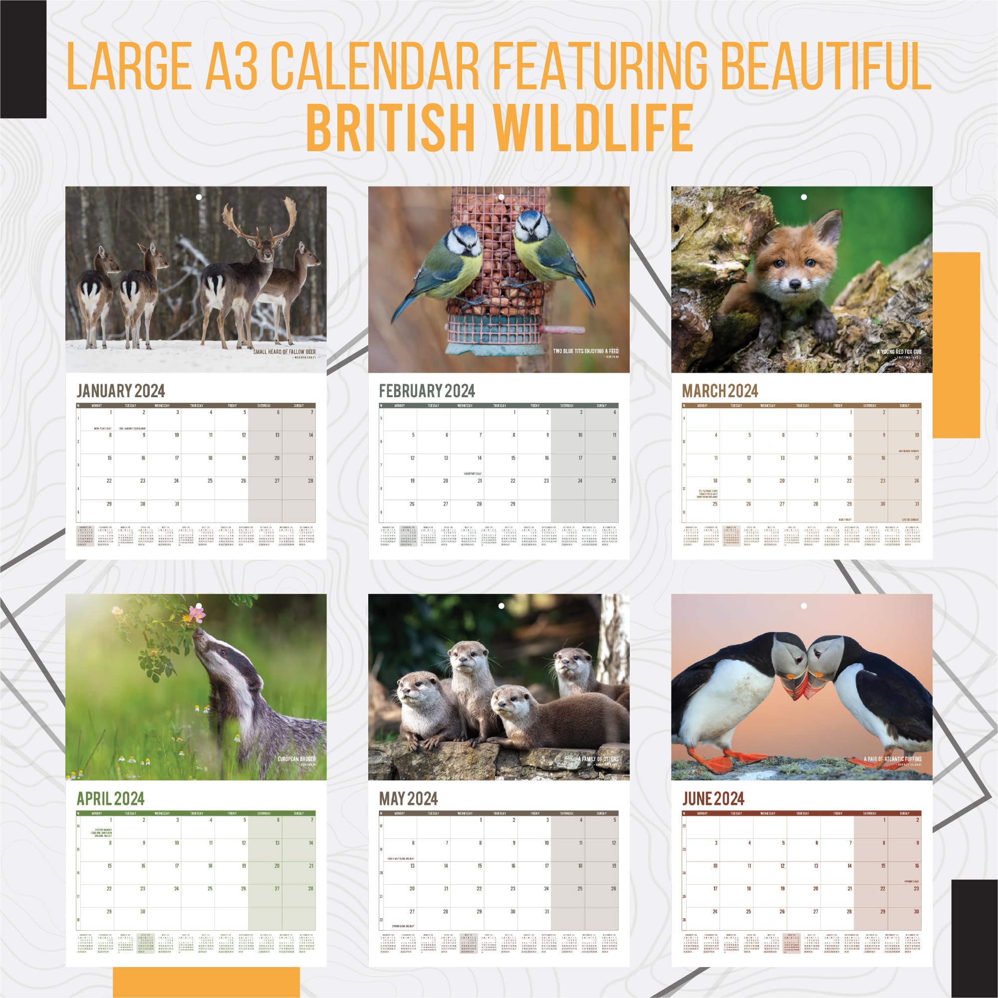 A4 UK Wildlife Calendar 2024 Month to View Features 12 High Resolution Images of UK Wildlife (2024)