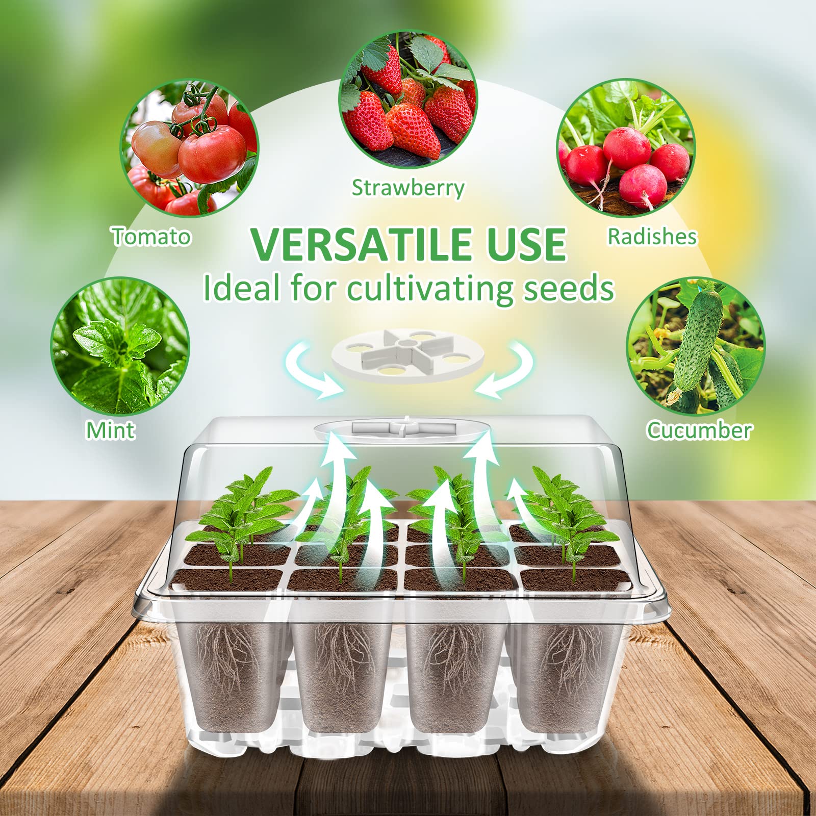 YAUNGEL Seed Trays, 6 Pack 72 Cells Propagator Growing Thicken Seedling Starter Growing Trays with Clear Lids/Adjustable Window for Greenhouse & Gardens, Transparent