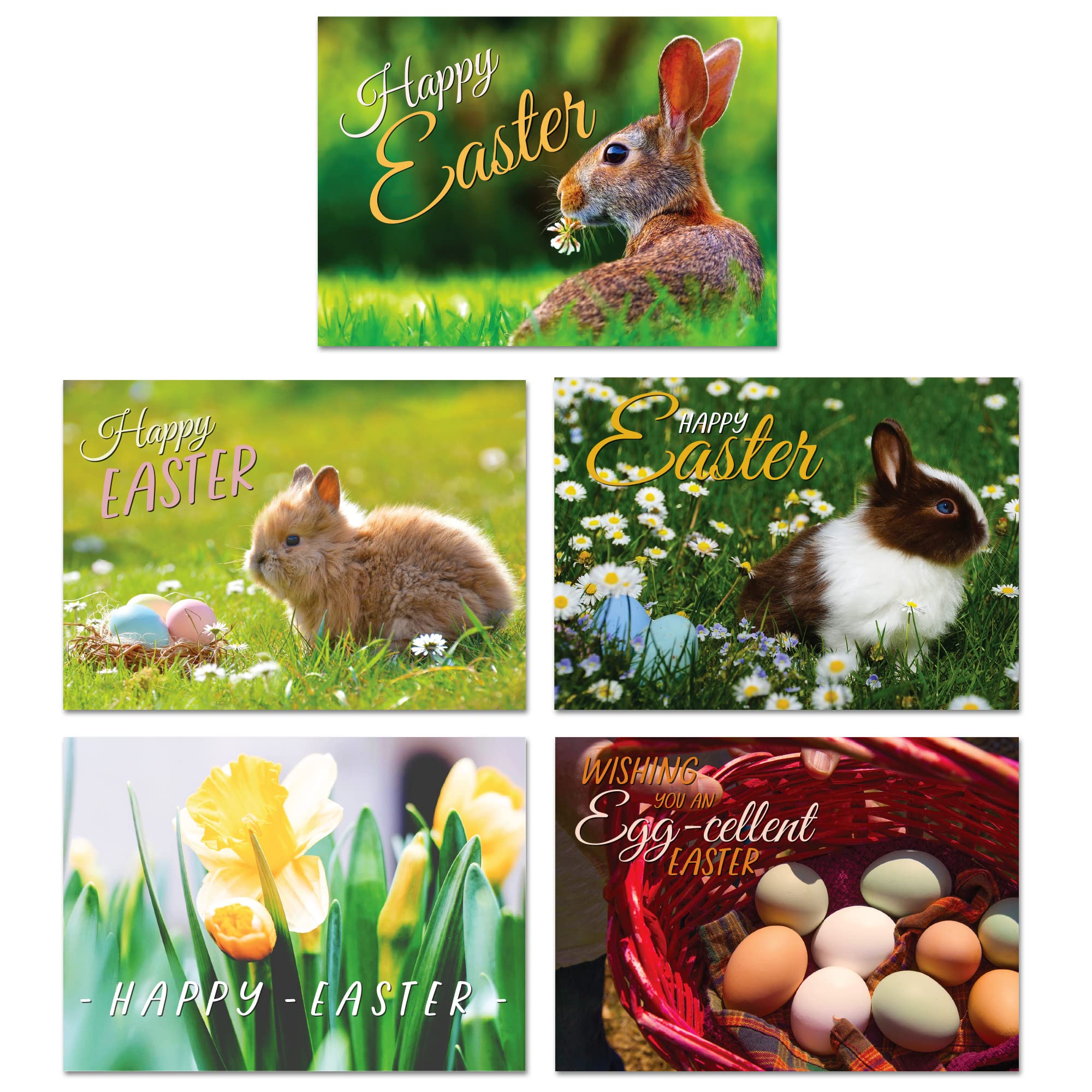 A&M Natural Living Easter Cards Pack Of 10, A6 Multipack Blank Greeting Cards With Envelopes, 10 Bunny Rabbit Flowers & Easter Egg Designs, Blank Inside, The Perfect Greeting Cards Made In The UK