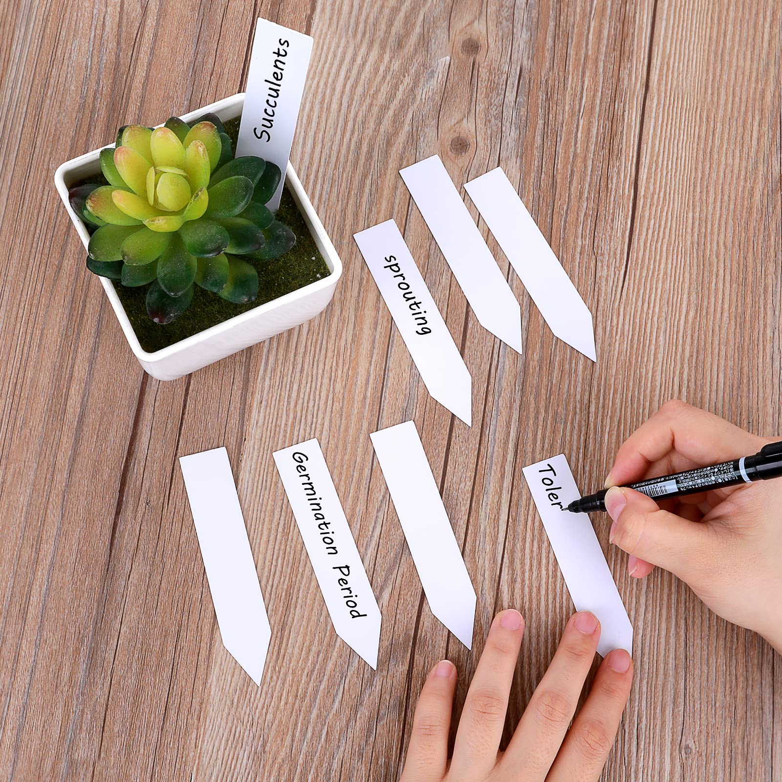 100 PCS Plastic Plant Labels Reusable Garden Plant Tags with Marker Pen, Plant Name Labels Seed Labels (2×10cm) for Outdoor Indoor Plants Herbs, Flowers, Vegetable, Plant Label Marker