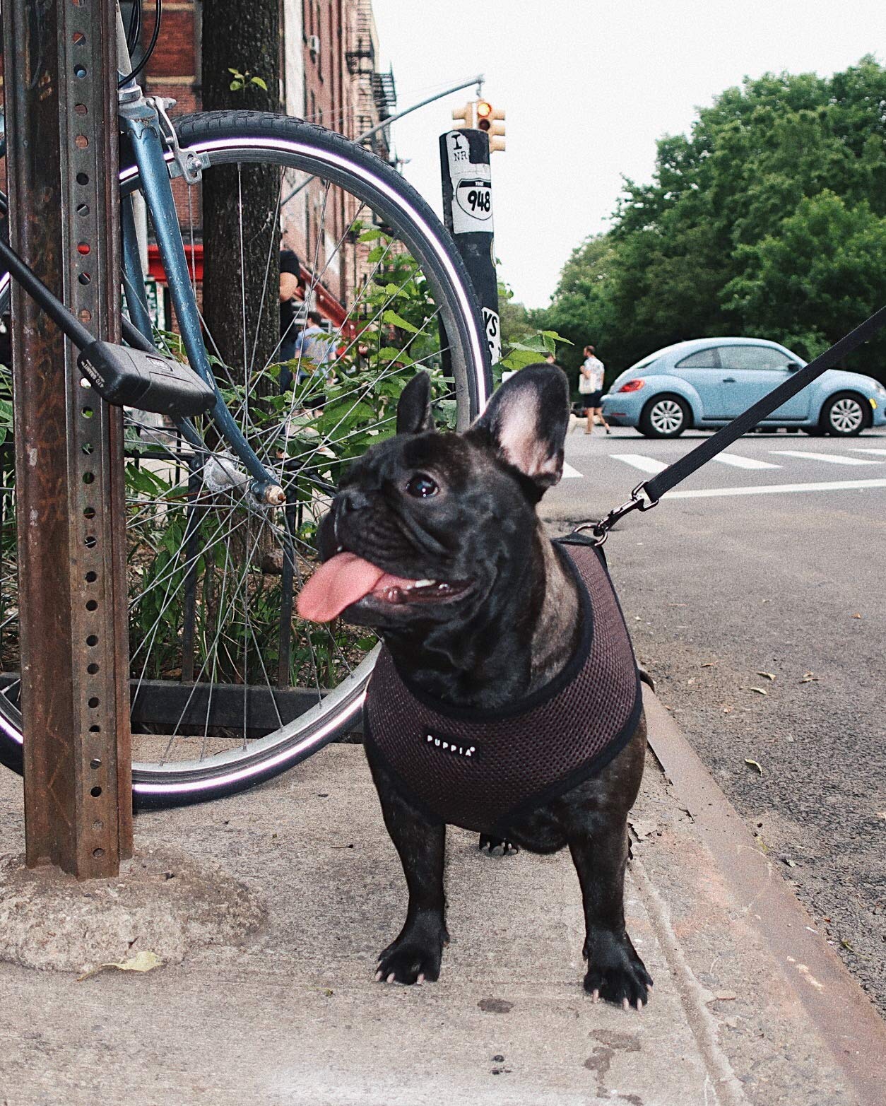 Puppia Brown Soft Harness - XS