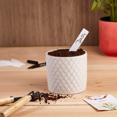 Wooden Signs for Labelling: Premium Wooden Plant Labels Set with 50 Plant Name Sticks and Waterproof Marker Pen - Plant Labels Wooden - Outdoor Plant Tags and Labels - Seedling Labels by OwnGrown