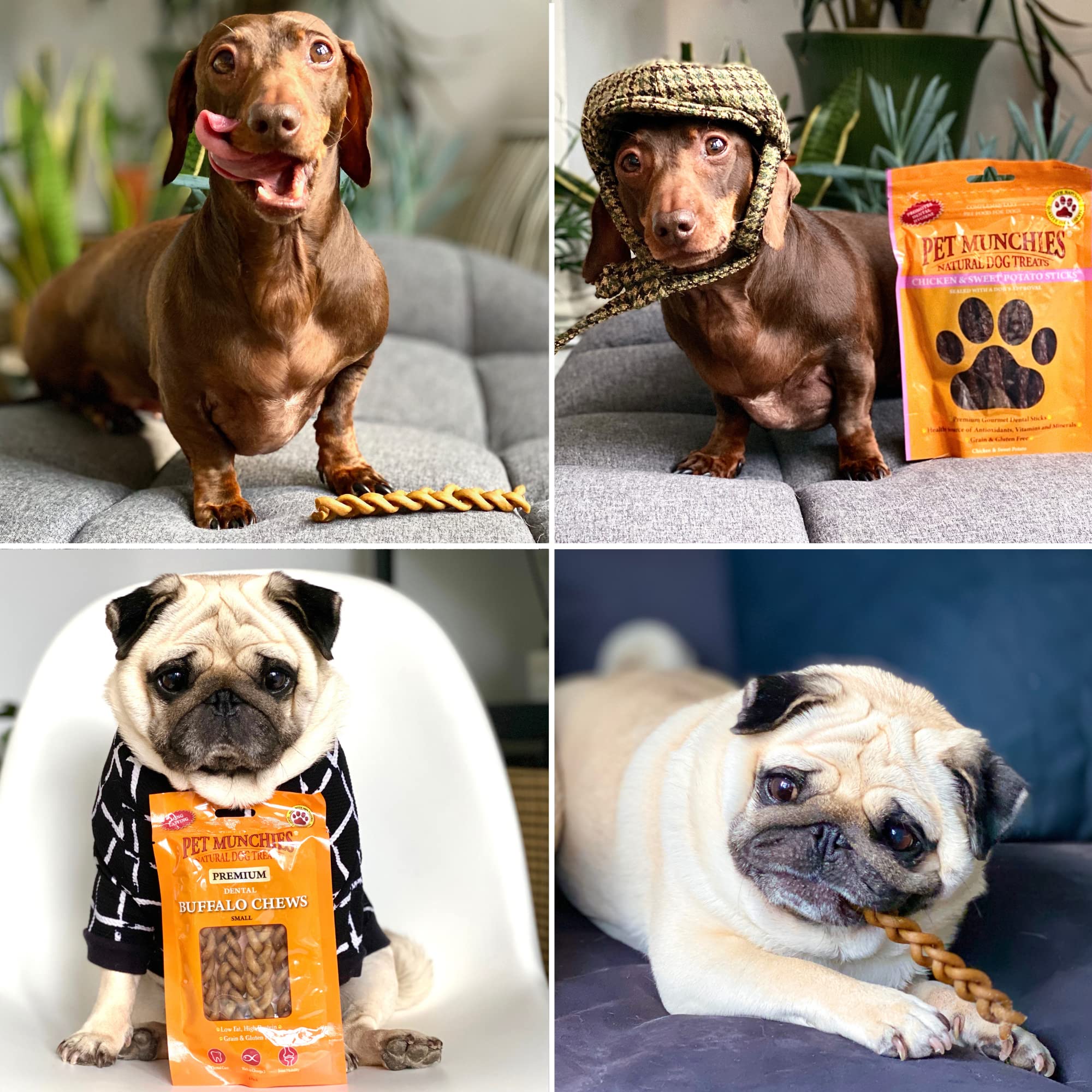 Pet Munchies Wild Salmon Dog Training Treats, Grain Free Tasty Bites with Natural Real Meat 50g