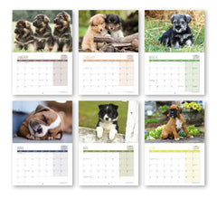 A4 Puppies Calendar 2024. One Month to View. UK, Scotland, RoI & N Ireland Bank Holidays. Wall Calendar by Absolutely Yours.