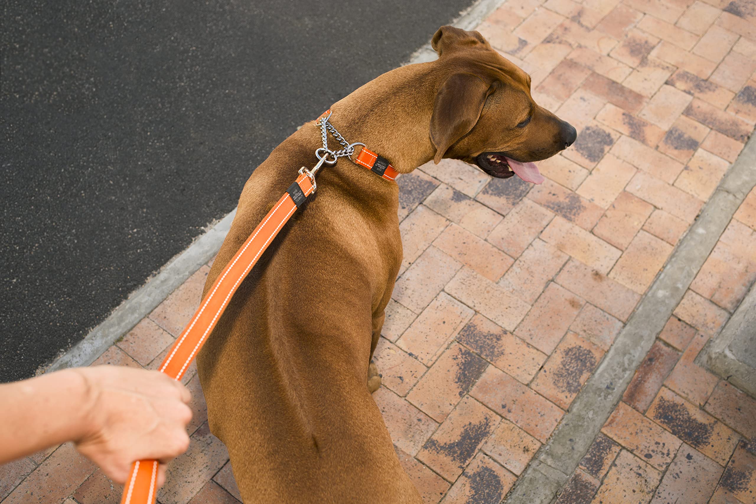 Rogz Utility Large 3/4-Inch Reflective Fanbelt Obedience Half-Check Dog Collar, Red