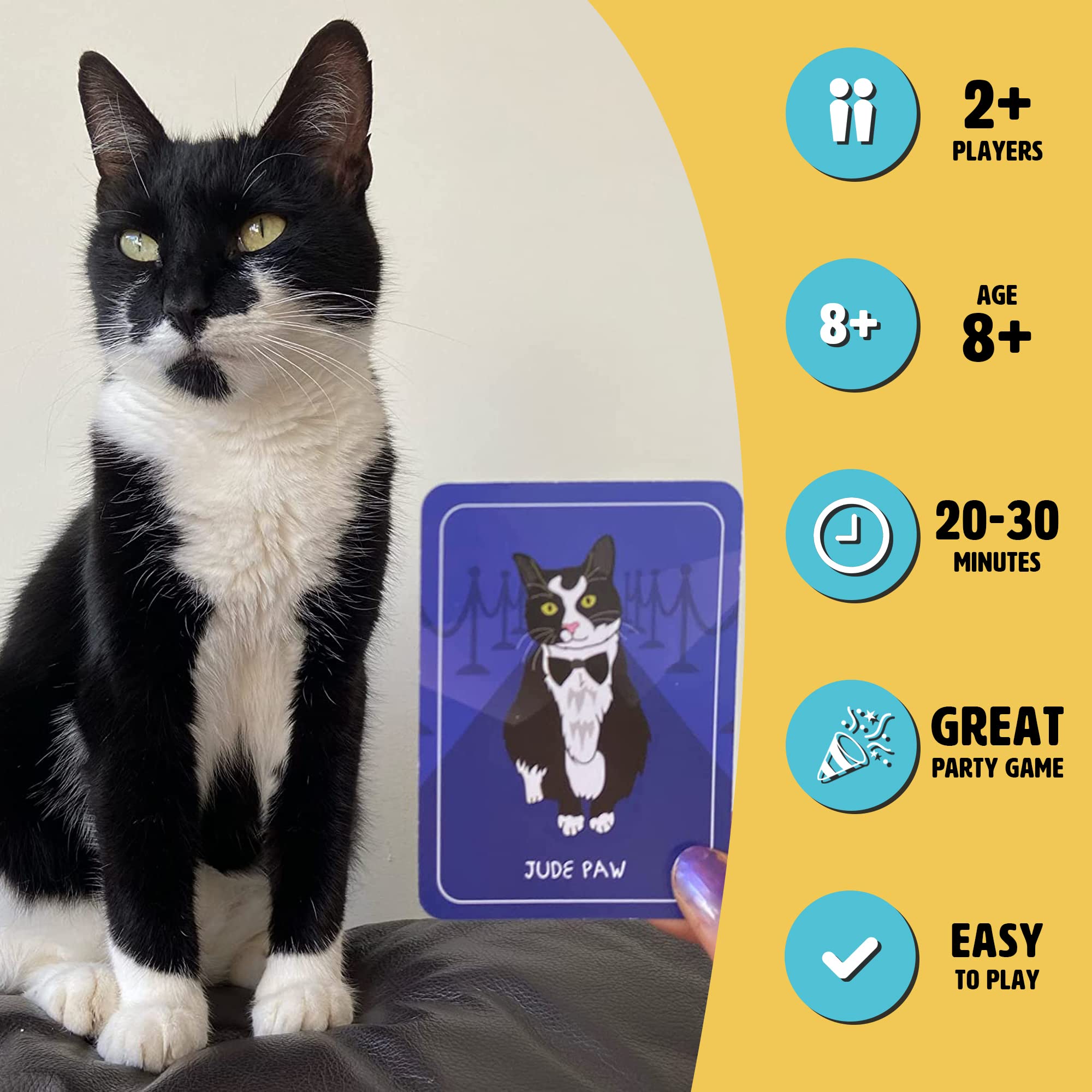 Ginger Fox Cat Chaos Card Swapping Family Fun Game. Get The Family Together on Games Night To Play This Fast-Paced Quick-Play Action Party Game For Players Aged 8and Years. Are You Feline Lucky?