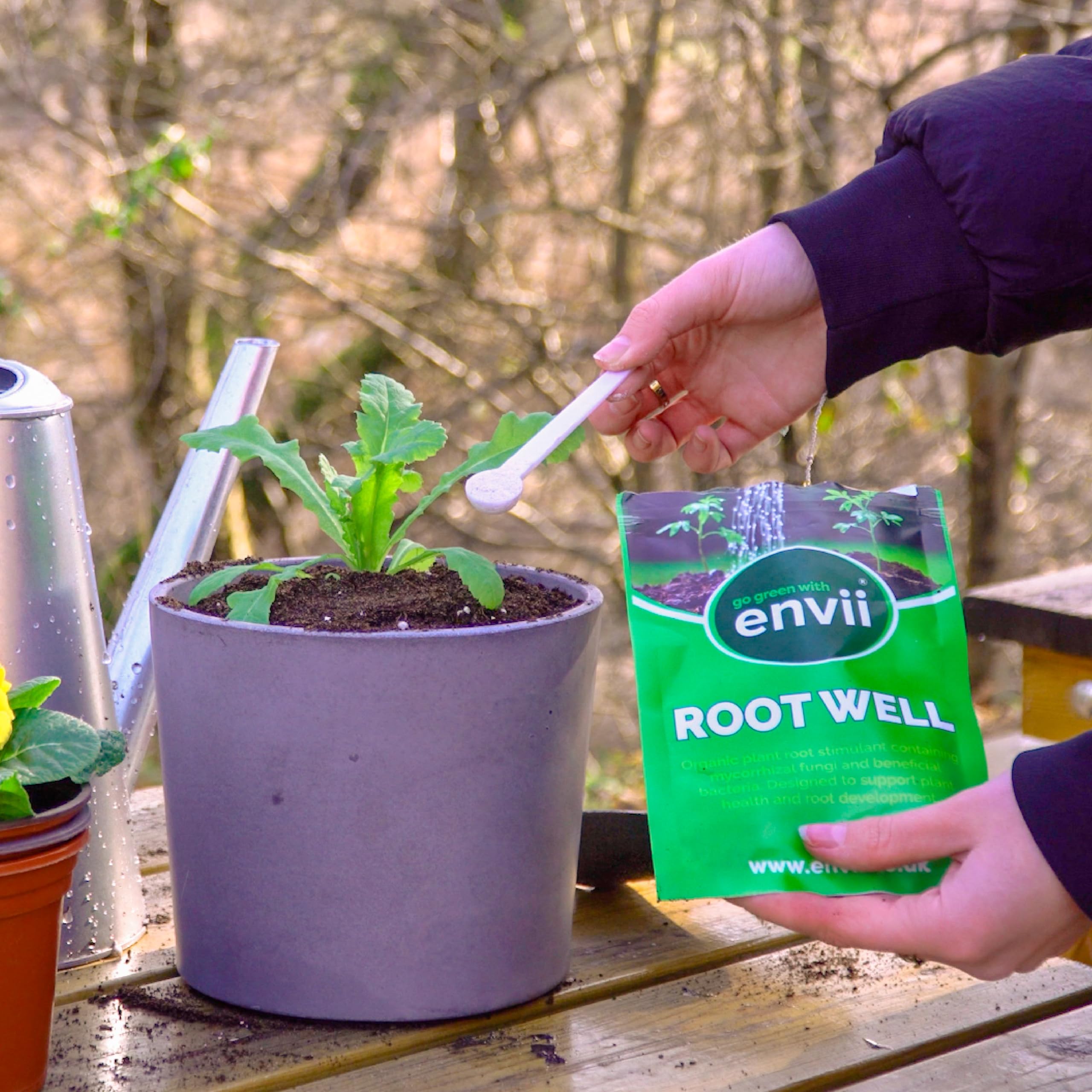 envii Root Well - Mycorrhizal Fungi Powder - Organic & Enriched with Bacteria - Improves Nutrient Uptake - Treats 80 Plants