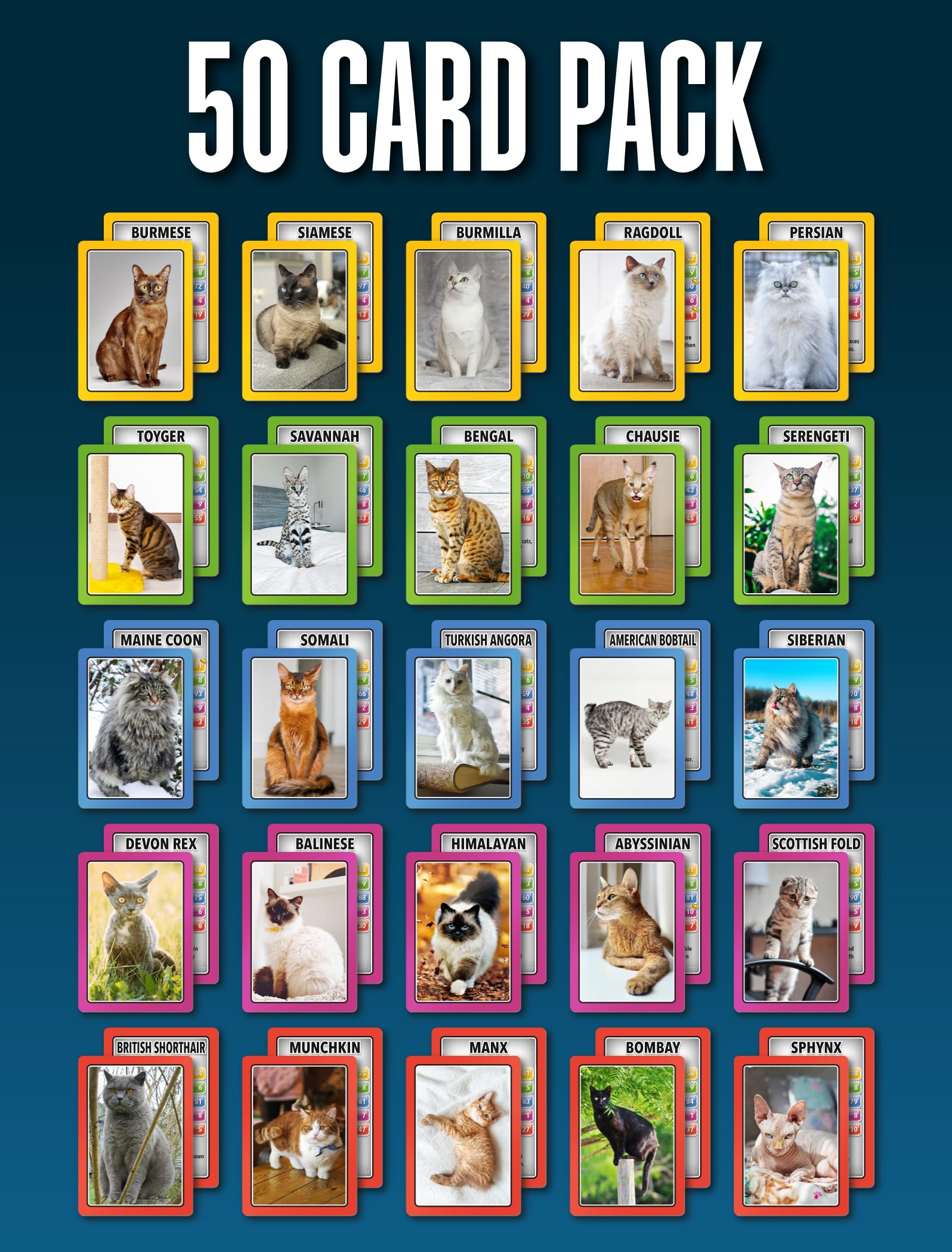 100 PICS SMART CARDS Cats 7 games in 1, Pairs, Snap, Trumps, Rummy, Memory Quiz, Learn Facts, Travel Game, Gift, Stocking Filler, Age 5and, 1-8 Players