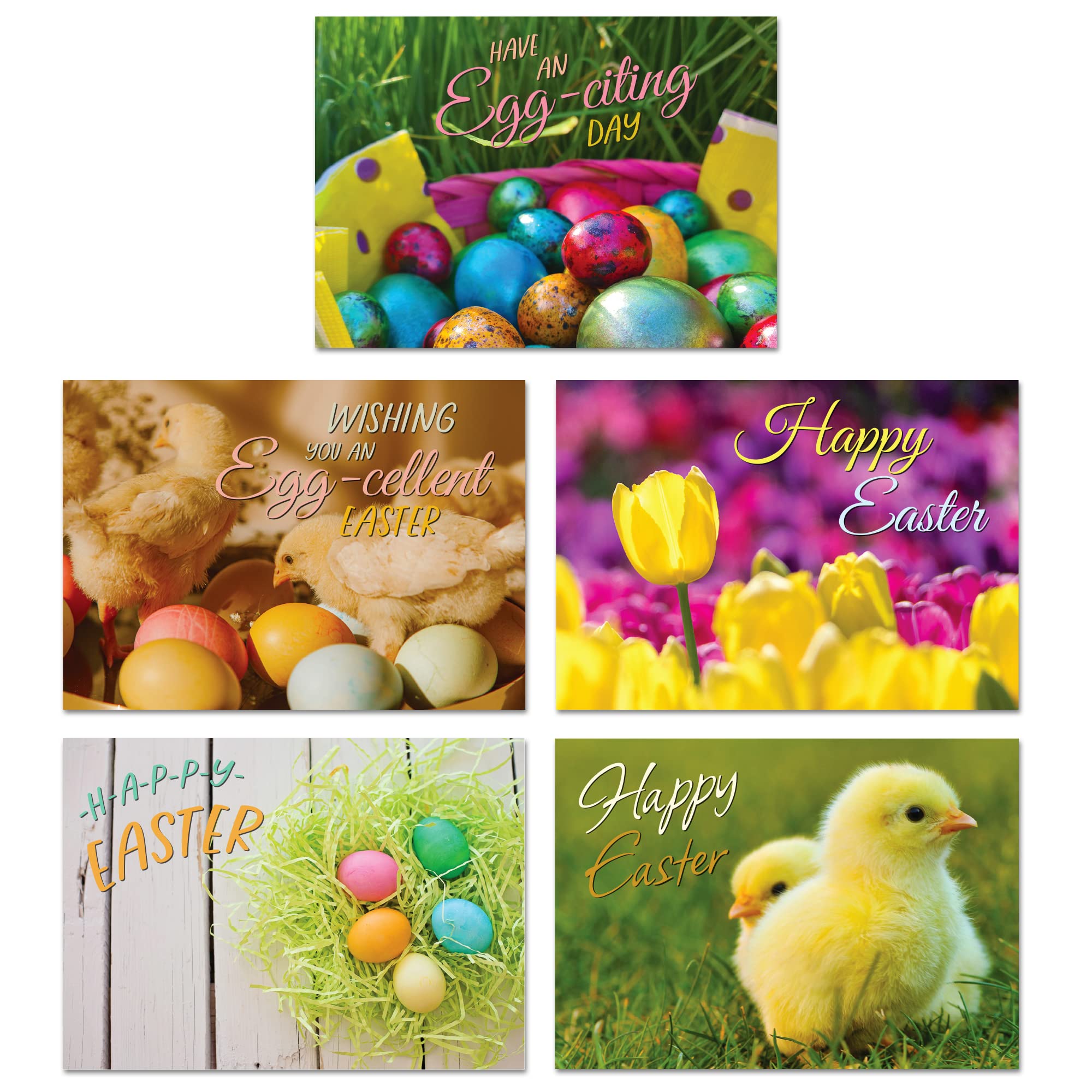 A&M Natural Living Easter Cards Pack Of 10, A6 Multipack Blank Greeting Cards With Envelopes, 10 Bunny Rabbit Flowers & Easter Egg Designs, Blank Inside, The Perfect Greeting Cards Made In The UK