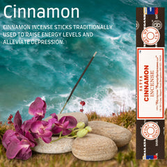 Satya Nag Champa Cinnamon Incense Sticks   3 pack   with SAMASIA incense sticks holder   Used for Aromatherapy, Spa, Yoga, Weddings, Meditation, Healing, Positivity and Relaxation