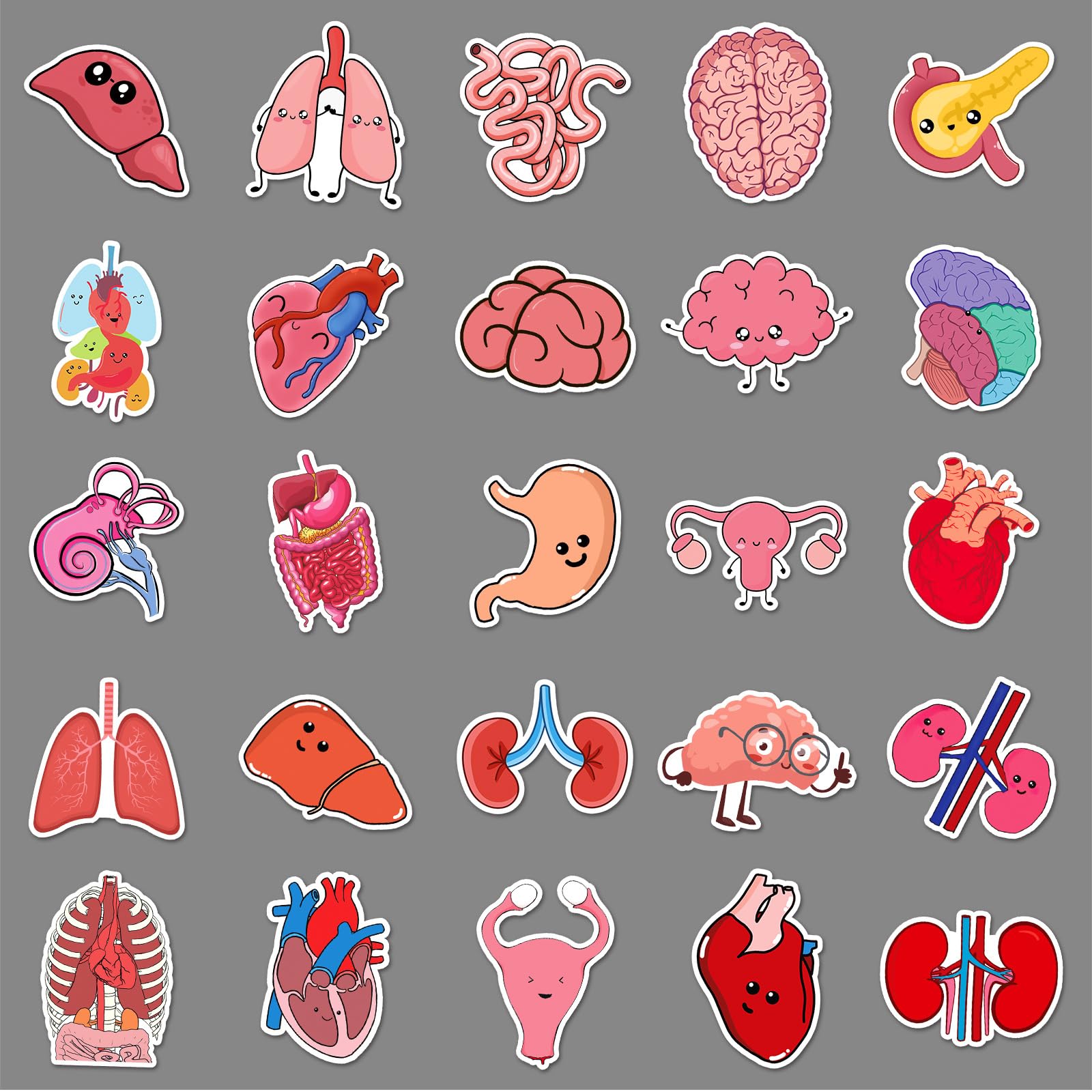 50 Pcs Human Body Organs Stickers Funny Human Biology Sticker for Water Bottle Laptop Skateboard Computer Luggage Scrapbook Car Helmet Bike,Vinyl Waterproof Sticker for Adults Doctors Nurses