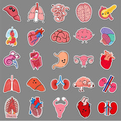 50 Pcs Human Body Organs Stickers Funny Human Biology Sticker for Water Bottle Laptop Skateboard Computer Luggage Scrapbook Car Helmet Bike,Vinyl Waterproof Sticker for Adults Doctors Nurses