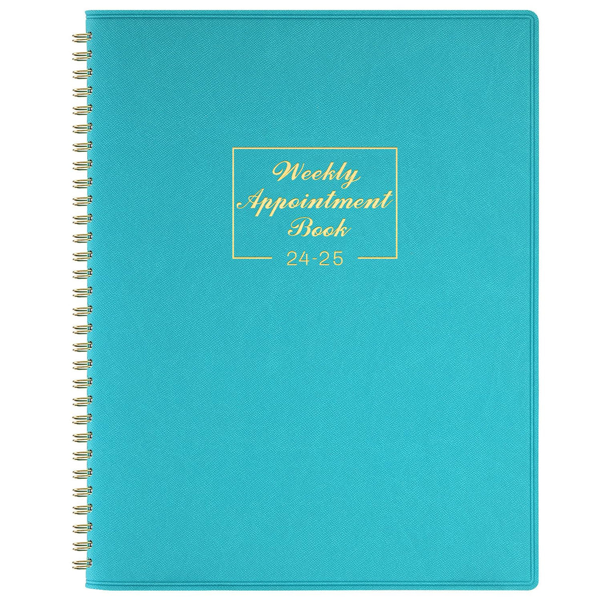 Appointment Diary 2024-2025 - Academic Diary 2024-2025 from Jul. 2024 to Jun. 2025, A4 Week to View Appointment Book 2024-2025 in 15 Minutes with Times, Soft Leather Cover, 21.8 x 29 cm - Lake Green