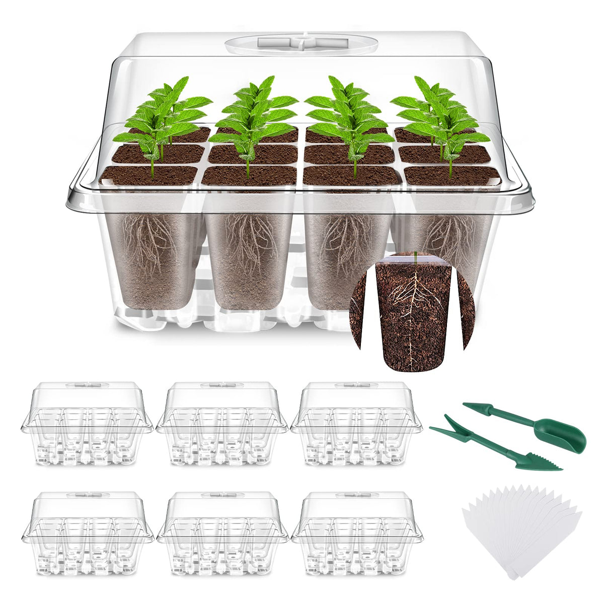 YAUNGEL Seed Trays, 6 Pack 72 Cells Propagator Growing Thicken Seedling Starter Growing Trays with Clear Lids/Adjustable Window for Greenhouse & Gardens, Transparent