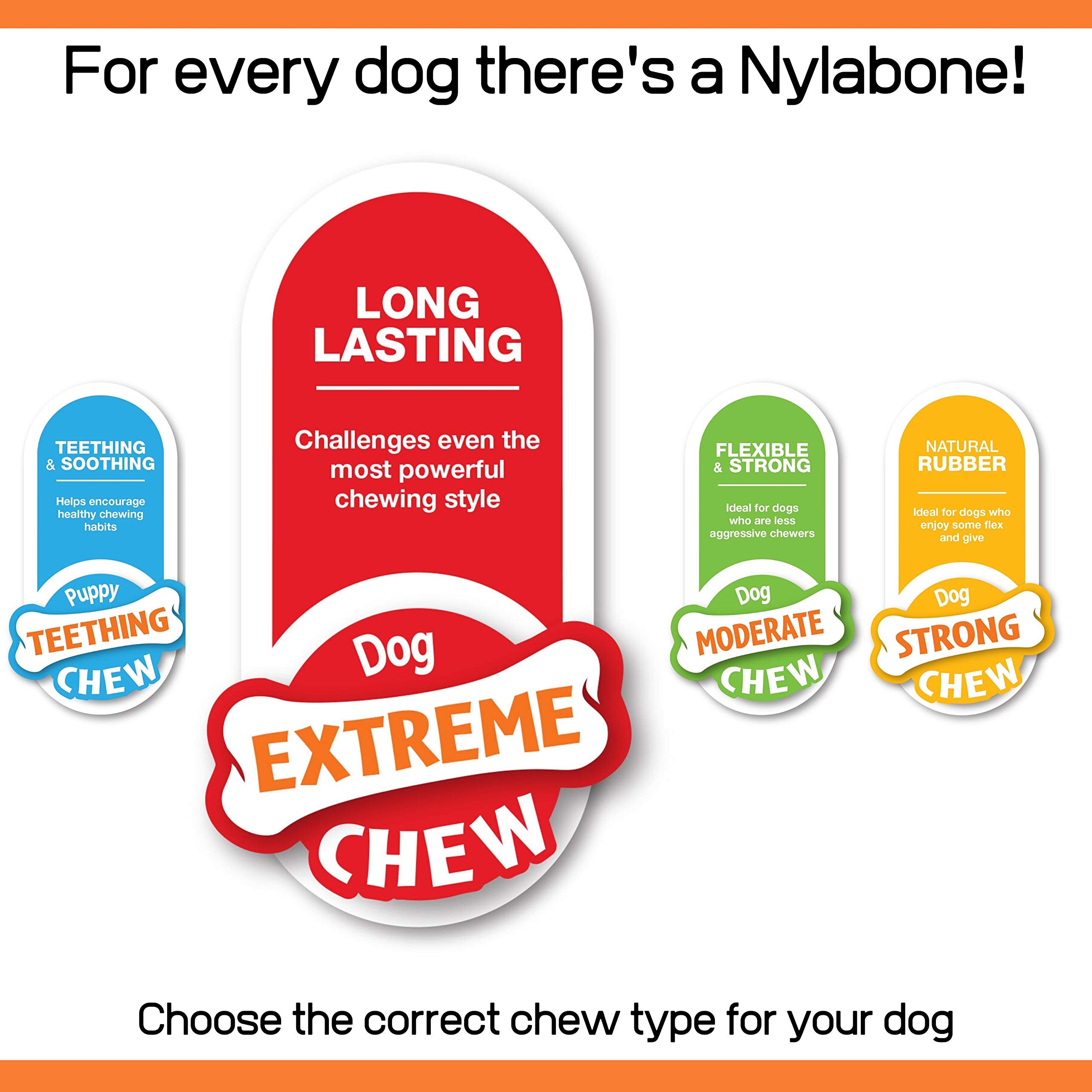 Nylabone Extreme Tough Dog Chew Toy Bones, Cheeseburger & Apple Flavour, 2-piece, Small, For Dogs Up To 11 kg