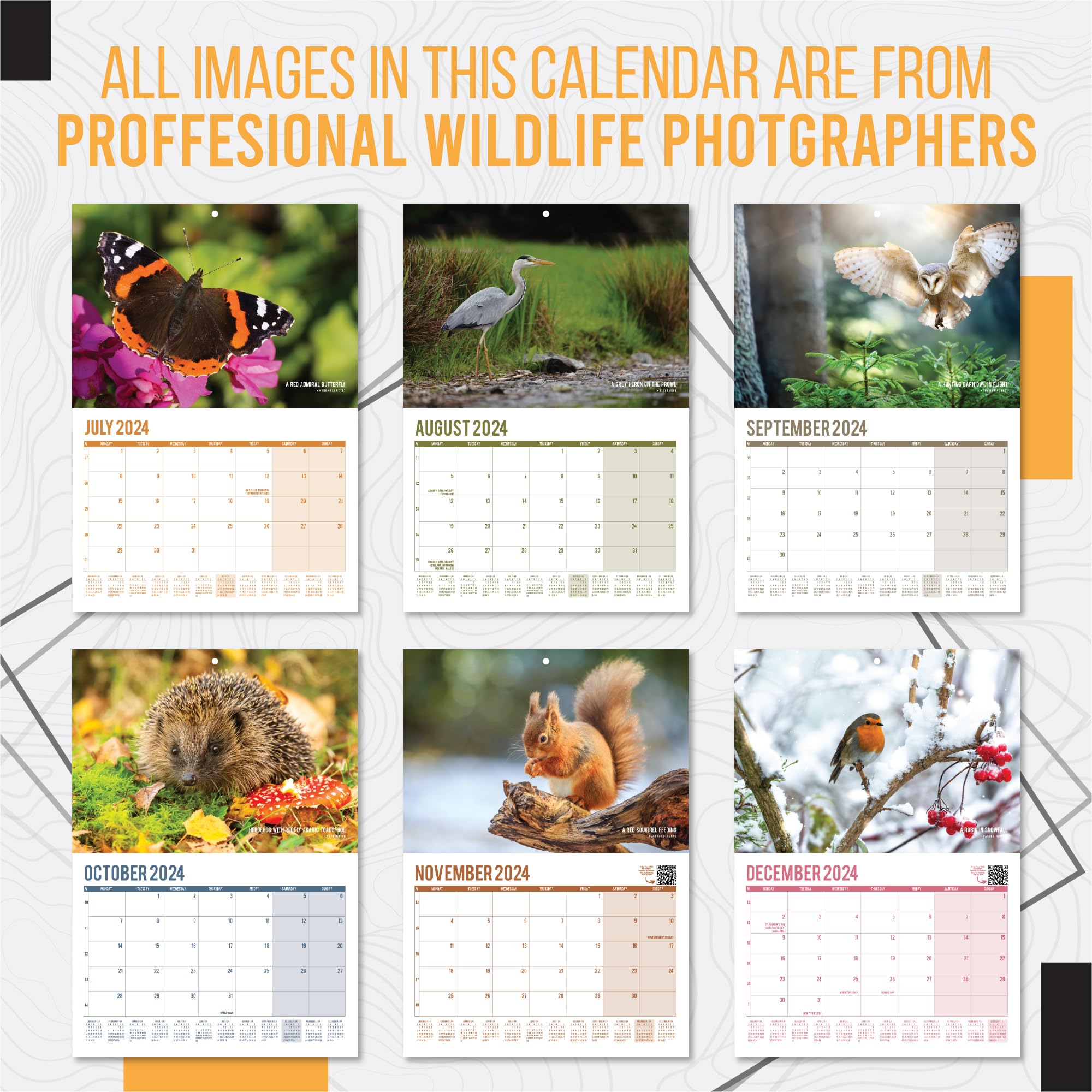 A4 UK Wildlife Calendar 2024 Month to View Features 12 High Resolution Images of UK Wildlife (2024)