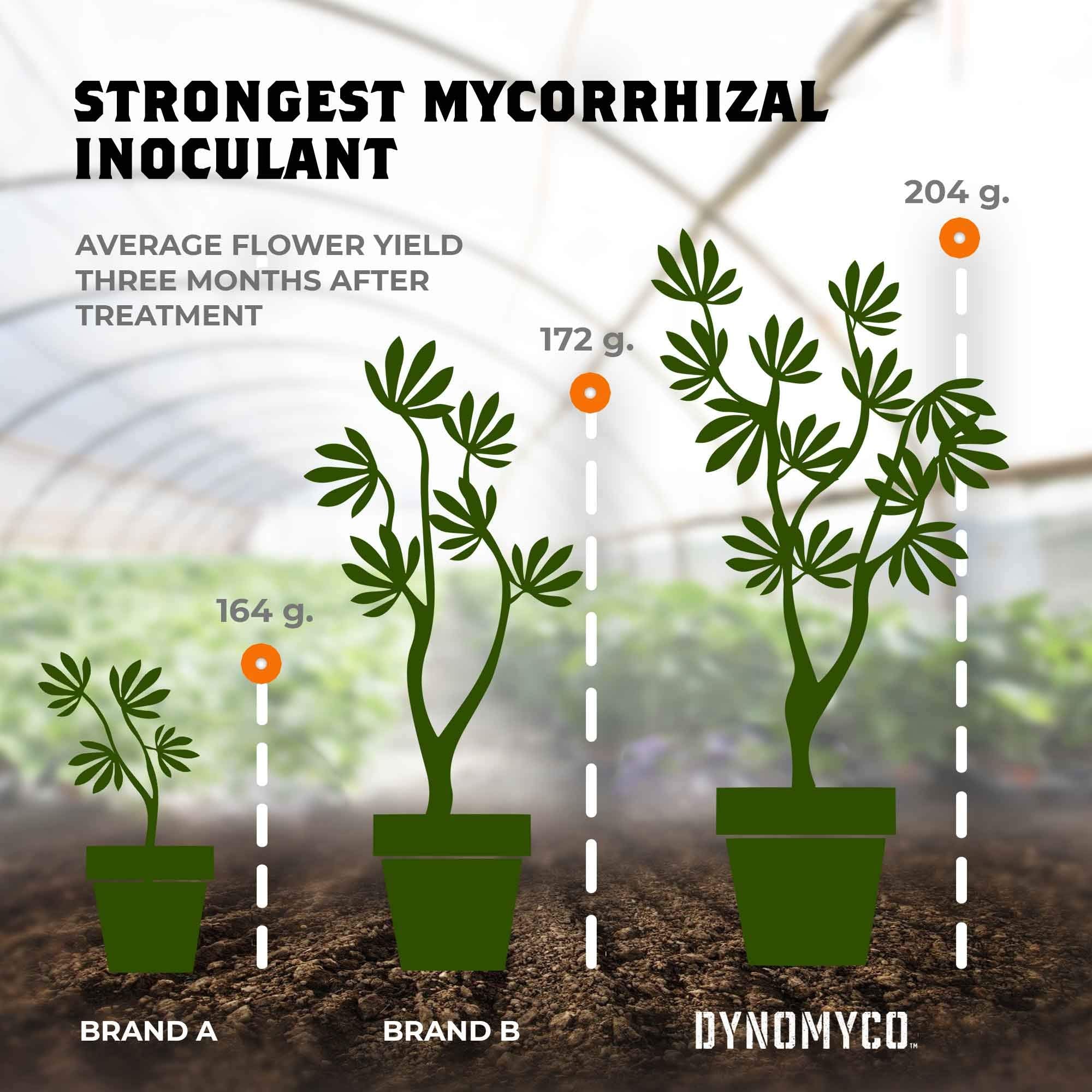 Mycorrhizal Inoculant by DYNOMYCO – High Performing Strains – Concentrated Formula – Improves Nutrient Uptake – Increases Plant Yields Enhances Resilience to Stress Saves Fertilizer (100 g / 3.5 oz)