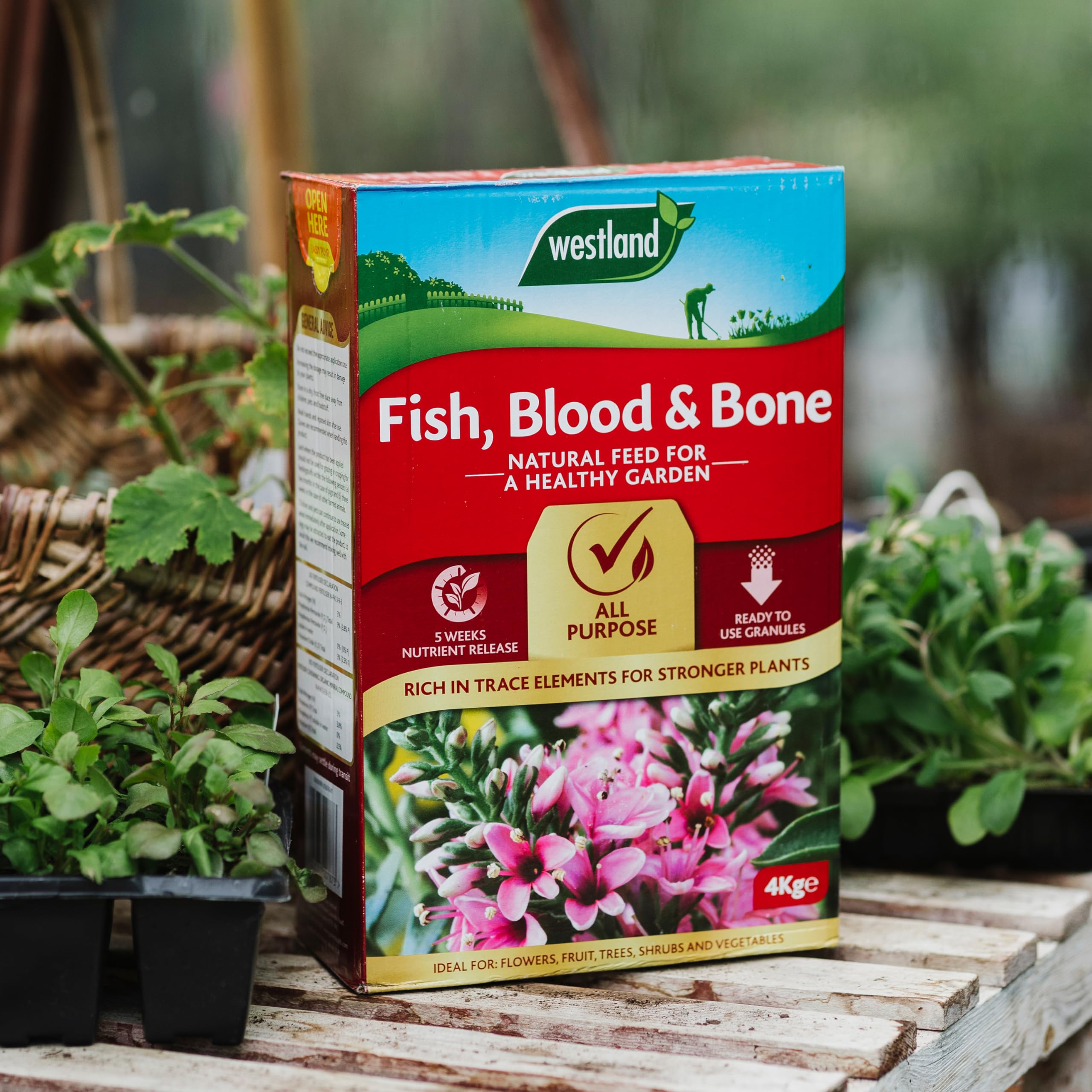 Westland 20600099 Fish, Blood and Bone All Purpose Plant Food, 4 kg, Natural