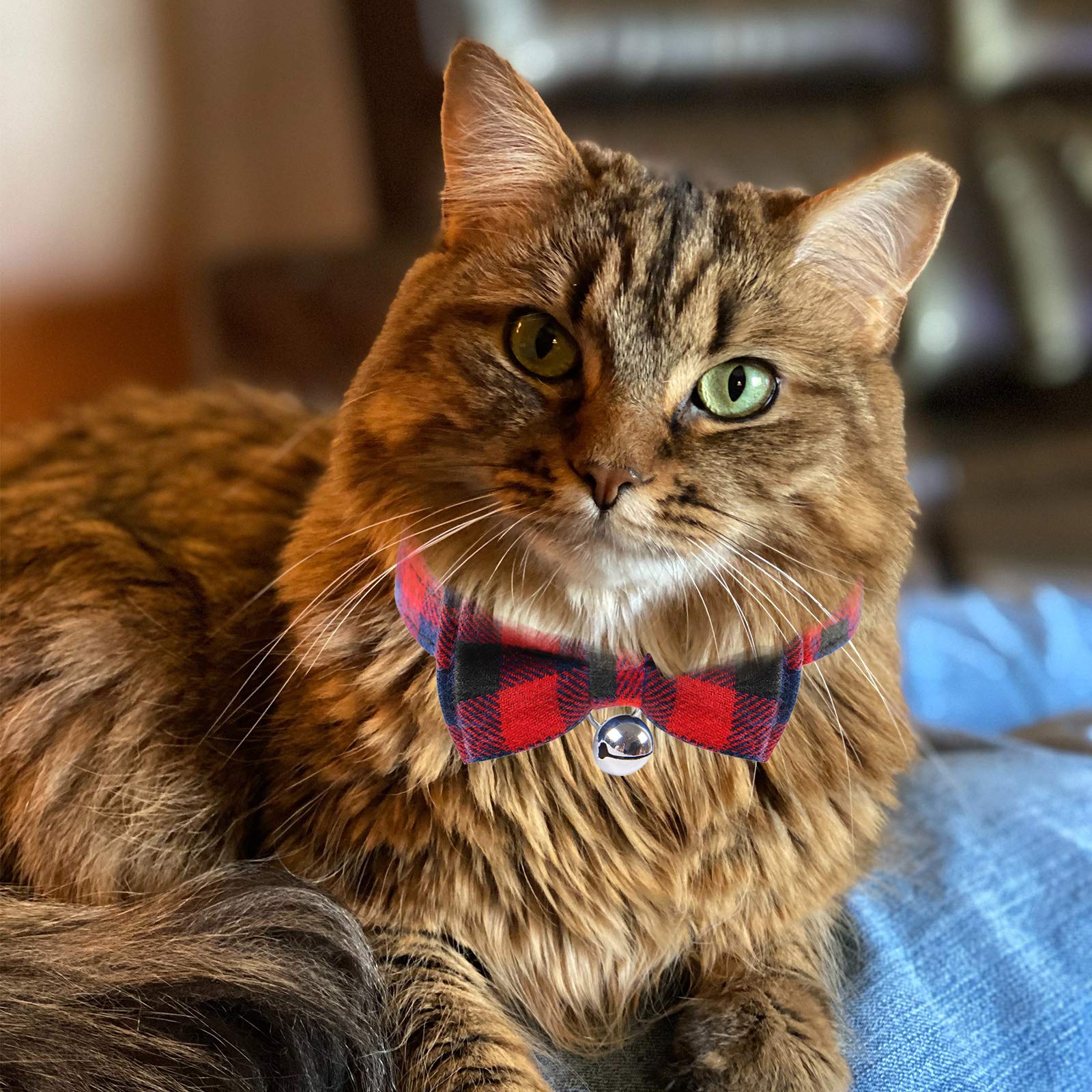 Red Plaid Cat Collars Quick Release Kitten Collar Bow Tie Safety Cat Bowtie Collars Christmas Cat Bow Collar With Bell Soft Tartan Collar Adjustable Pet Collars For Kitten Puppy Small Pets