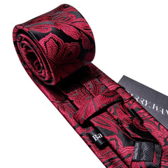 Barry.Wang Mens Tie Paisley Plaid Striped Floral Silky Necktie Pocket Square Cufflinks Clip Set Wedding Party Formal Business