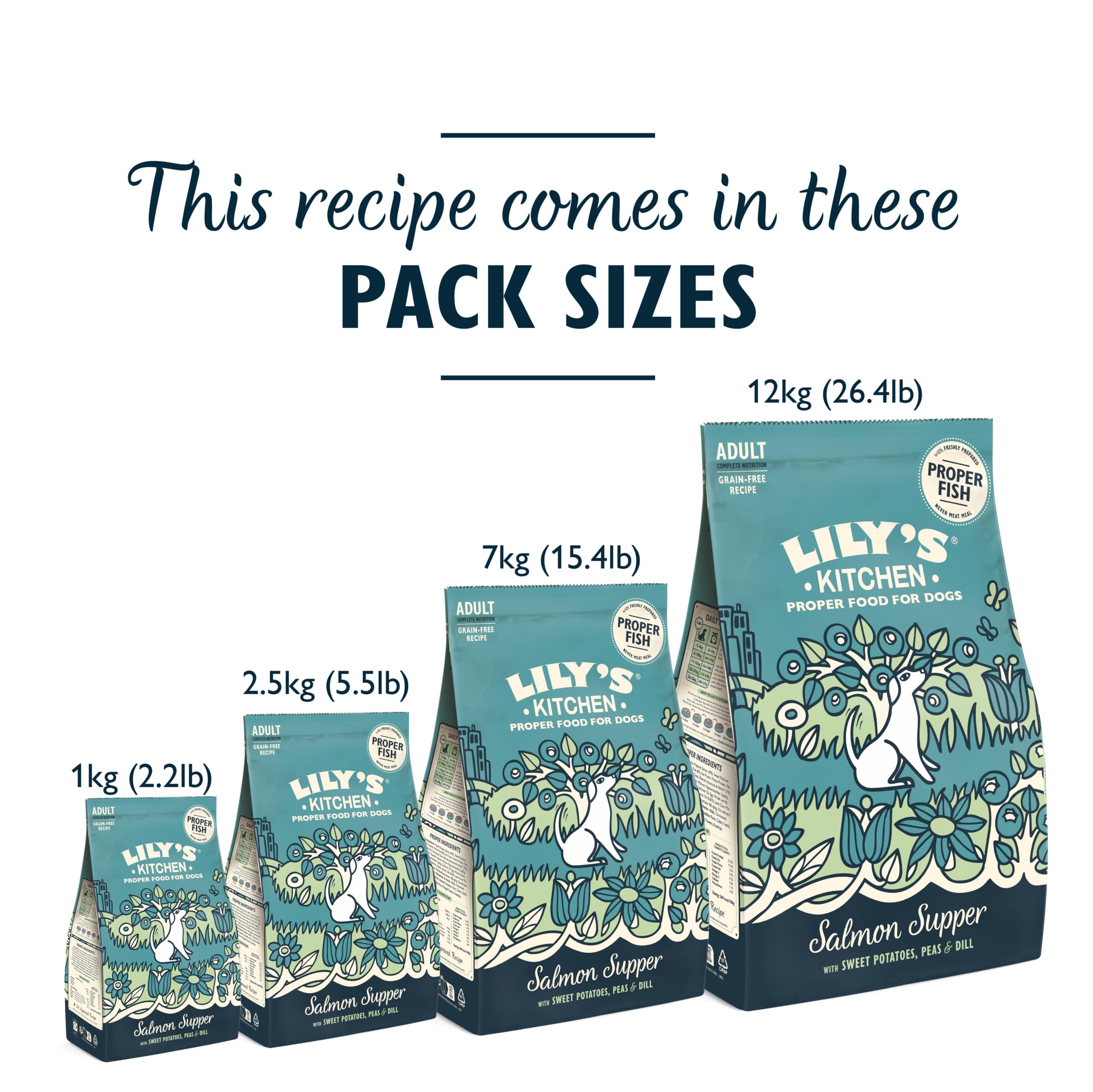 Lily’s Kitchen Made with Natural Ingredients Adult Dry Dog Food Salmon Supper Balanced Nutrition 1kg Bag