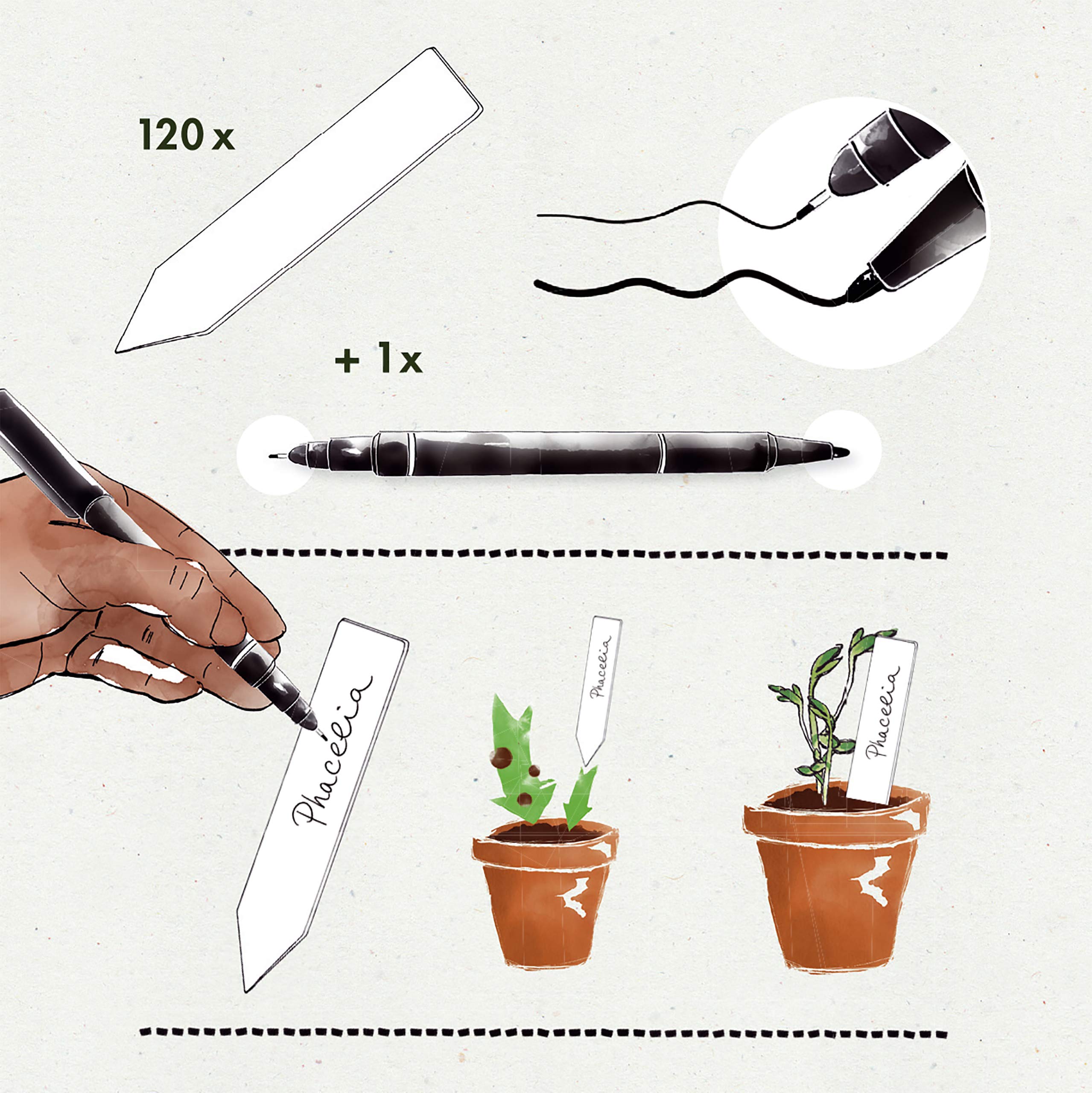 Wooden Signs for Labelling: Premium Wooden Plant Labels Set with 50 Plant Name Sticks and Waterproof Marker Pen - Plant Labels Wooden - Outdoor Plant Tags and Labels - Seedling Labels by OwnGrown