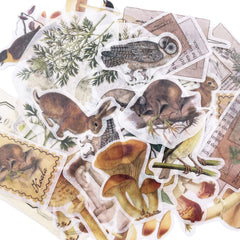 Carreuty 290pcs Aesthetic Scrapbooking Stickers Paper Pack, DIY Decorative Paper Plant Animal Supplies Stickers Paper Kit for Scrapbook Supplies Journal Kit (Fantasy Forest Life)