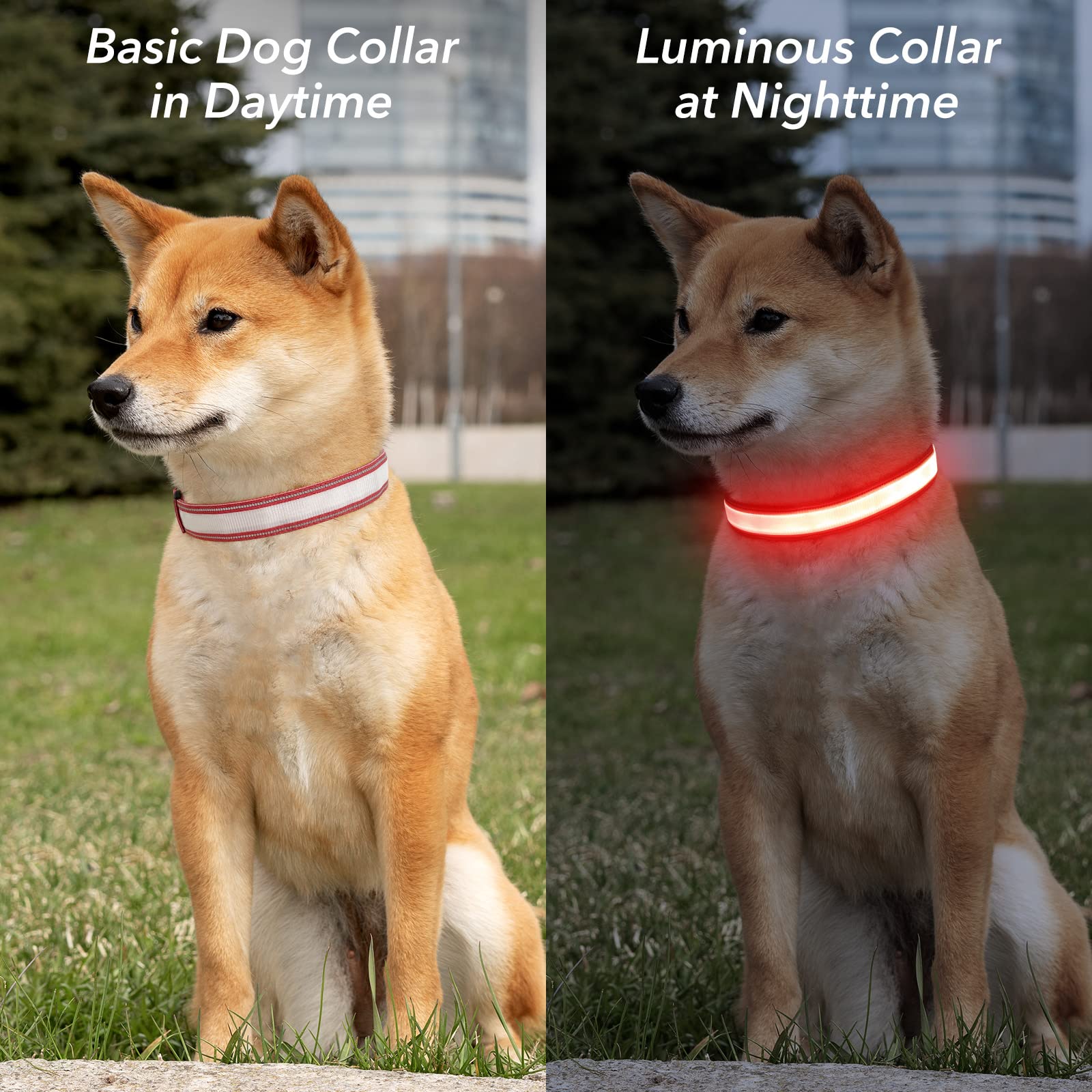 Visinite Light Up Dog Collar Rechargeable,Waterproof Led Dog Collar, Reflective Dog Collar Lights For The Dark, 3 Flashing Modes Glow Dog Collar for Night Walking for Medium Large Dogs