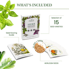 Jon the Gardener Herb Seeds Collection, 15 Herbs Varieties, 15,000 Seeds for Planting UK - Perfect Herb Garden - Mint Seeds, Coriander Seeds, Basil Seeds, and More