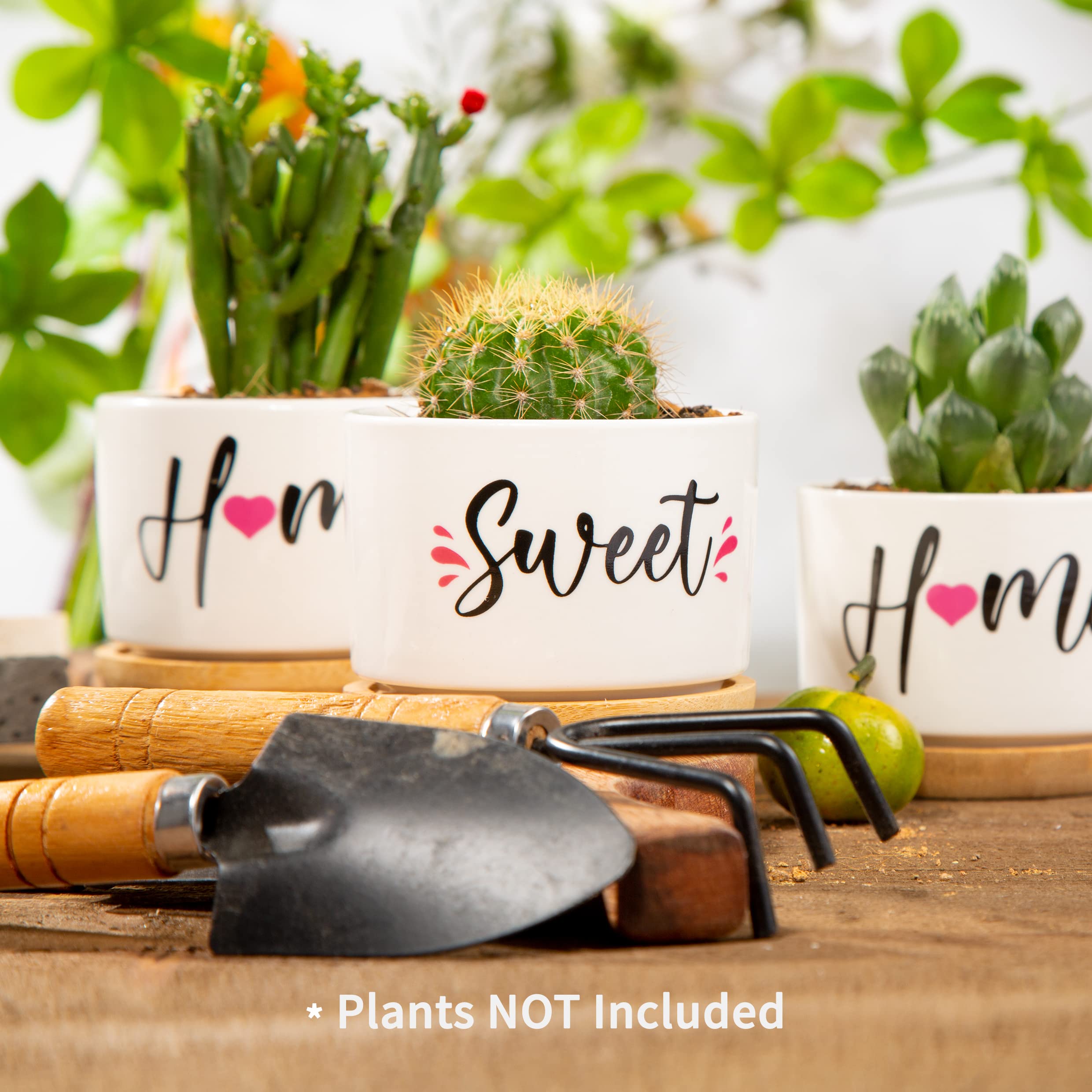 House Warming Gifts for New Home, Best New Home Gifts for Couple Friends Women, Home Sweet Home Succulent Pots Cute House Warming Presents New Home Owner Gift Ideas for Christmas, Anniversary