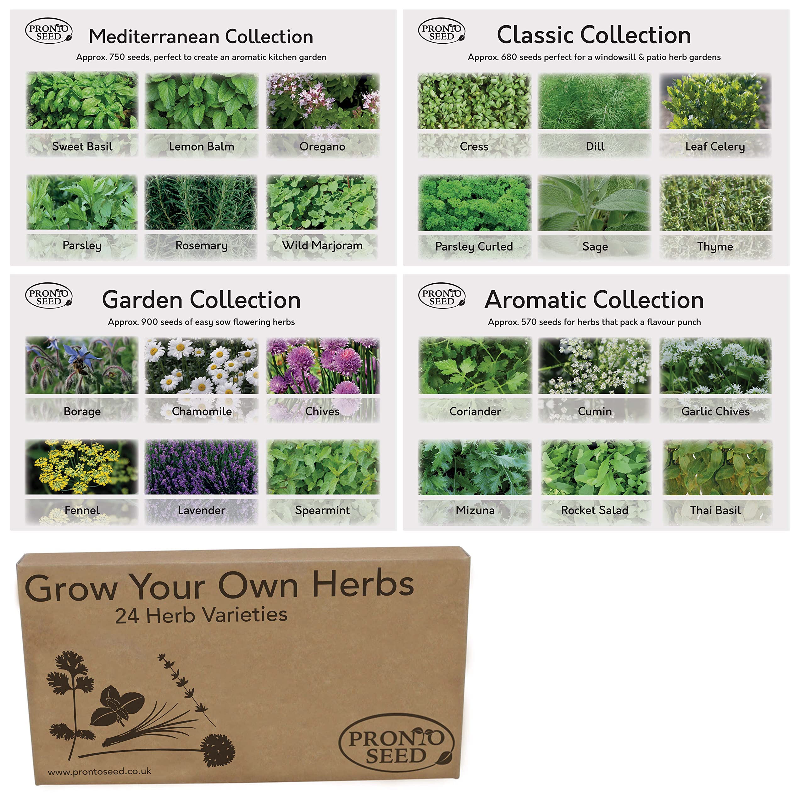 Pronto Seed Herb Bumper Pack - for Planting Now - Grow Your Own Kit - Containing 24 Different Varieties of Herbs - Aromatic, Mediterranean, Garden & Classic Herbs - Gardening Gift for Women and Men