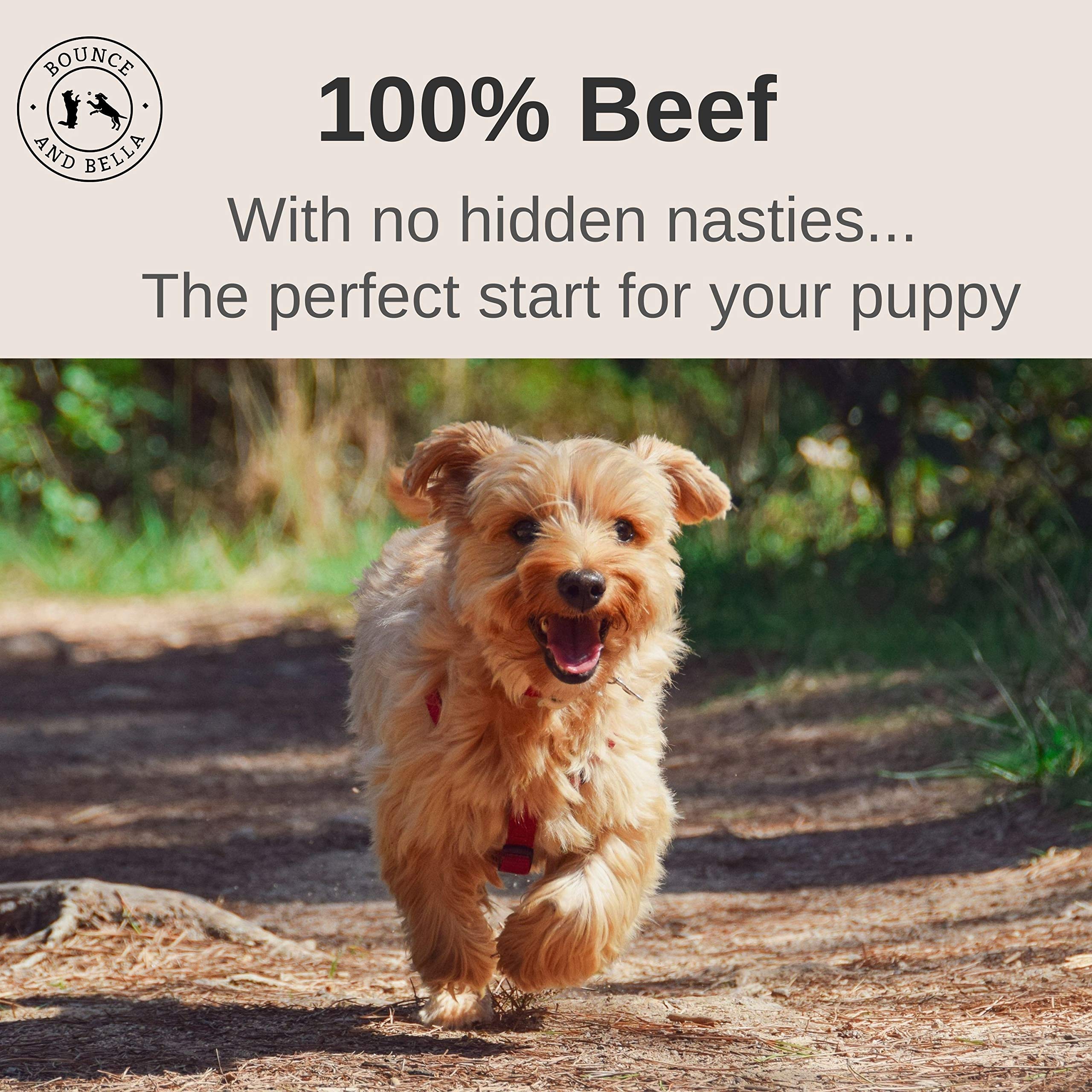 Bounce and Bella Pure Beef Nibbles - Perfect Puppy Treats from 8 Weeks – Just One Ingredient – Natural Grain Free Dog Treats with No Nasties 100g