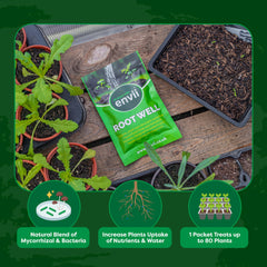 envii Root Well - Mycorrhizal Fungi Powder - Organic & Enriched with Bacteria - Improves Nutrient Uptake - Treats 80 Plants