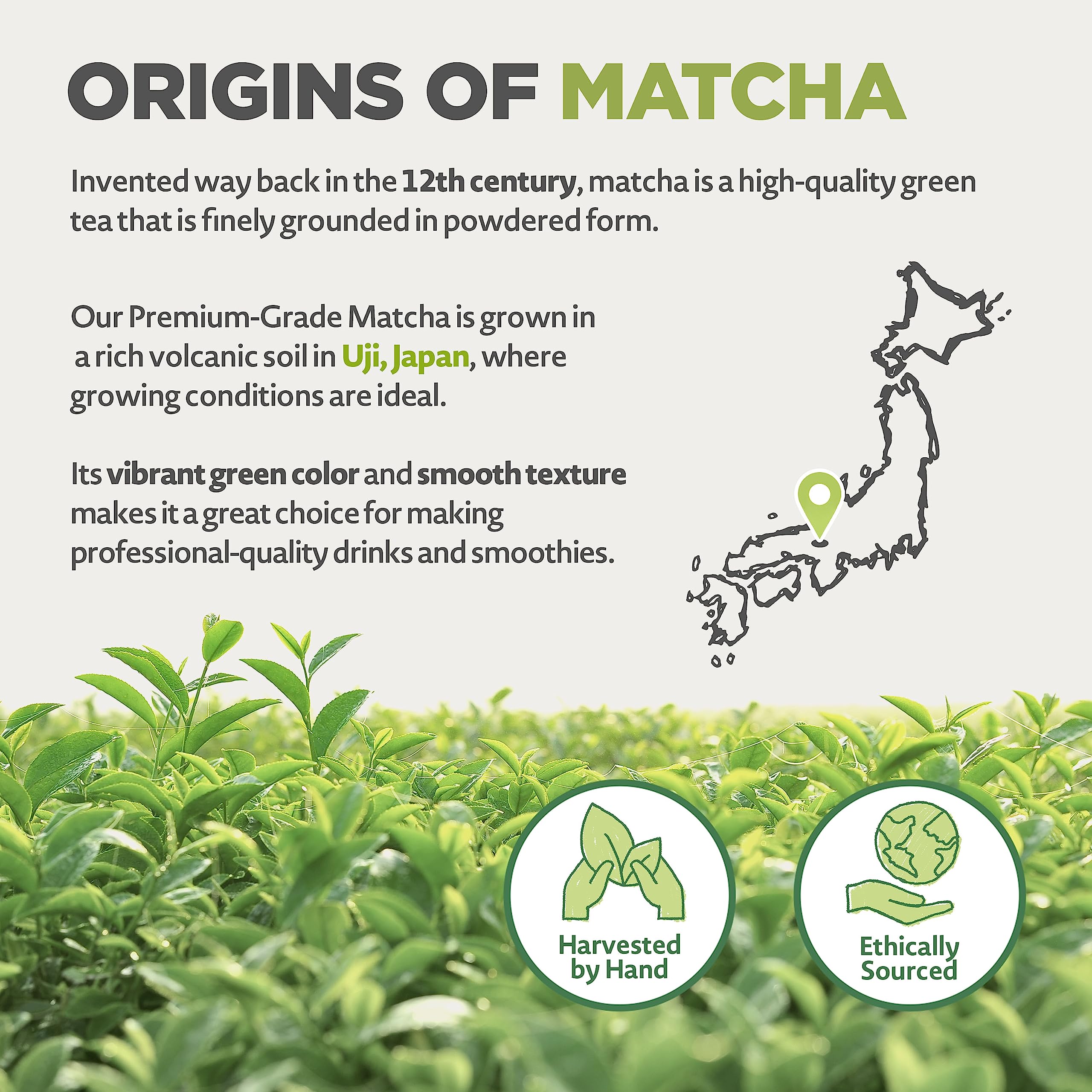 Japanese Organic Matcha Green Tea Powder - Premium Grade - 50g. Tea Produced in Japan, Uji, Kyoto. Use for Drinking, Cooking, Baking, Smoothie Making and with Milk. Vegan & Vegetarian Friendly