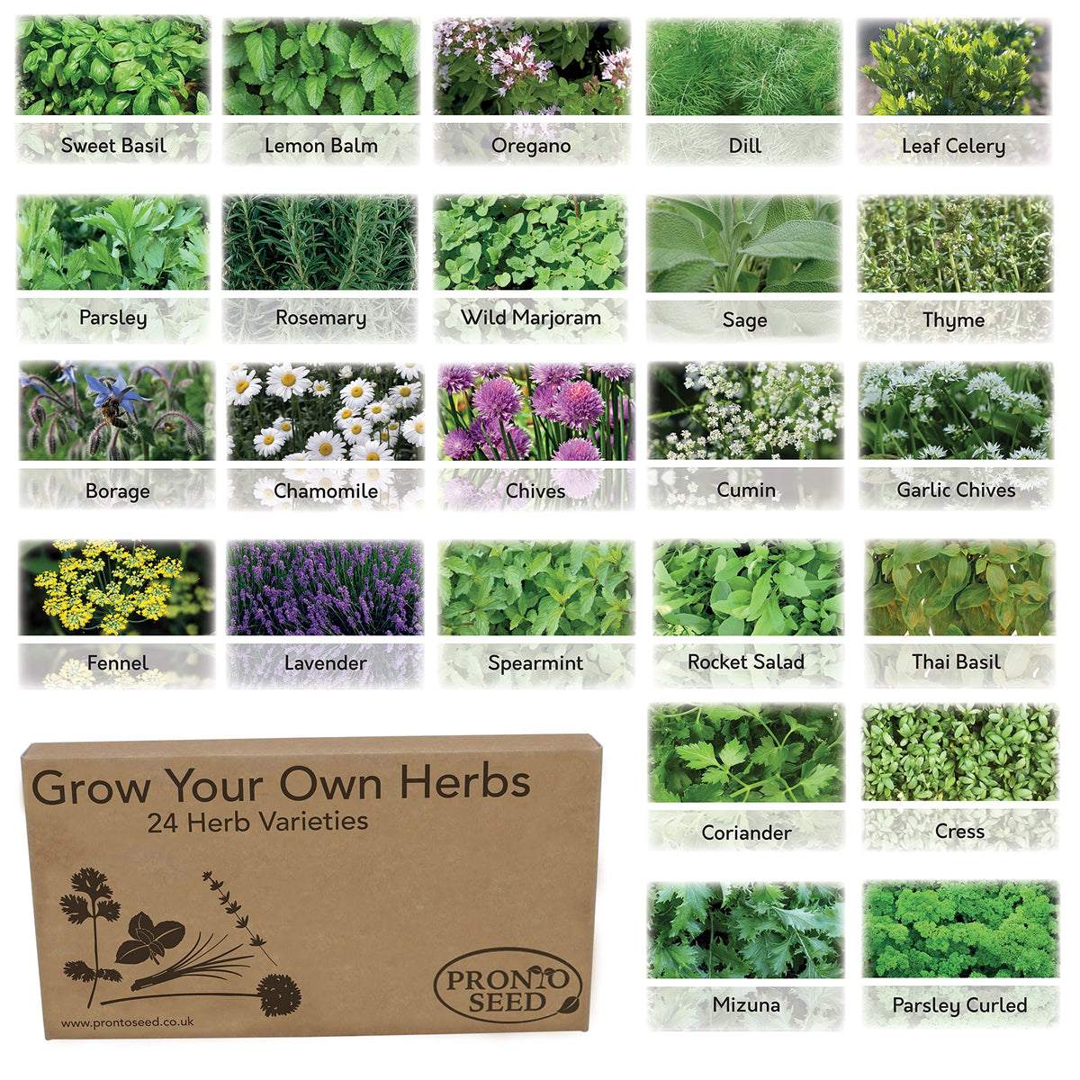 Pronto Seed Herb Bumper Pack - for Planting Now - Grow Your Own Kit - Containing 24 Different Varieties of Herbs - Aromatic, Mediterranean, Garden & Classic Herbs - Gardening Gift for Women and Men